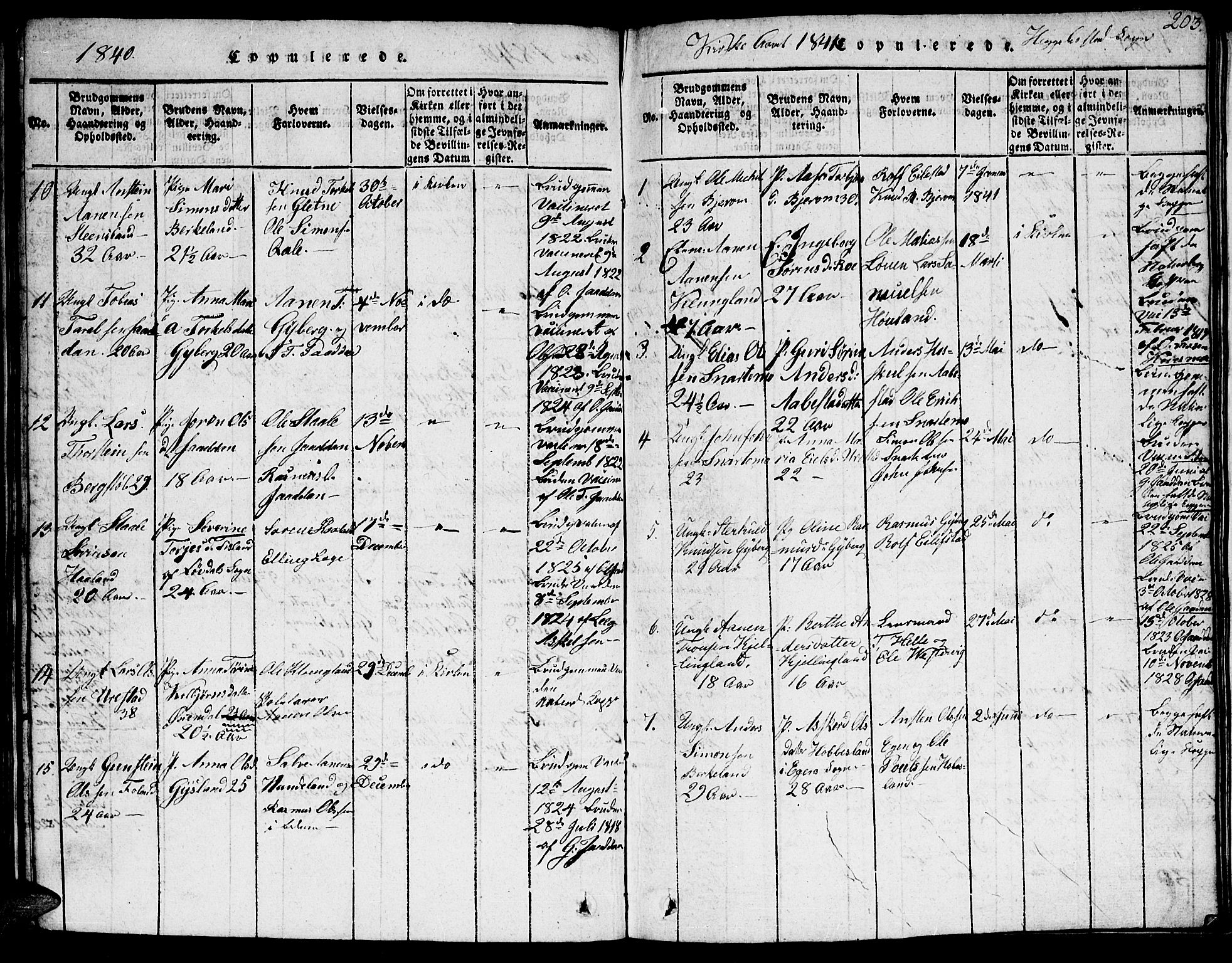 Hægebostad sokneprestkontor, SAK/1111-0024/F/Fb/Fba/L0001: Parish register (copy) no. B 1, 1815-1844, p. 203