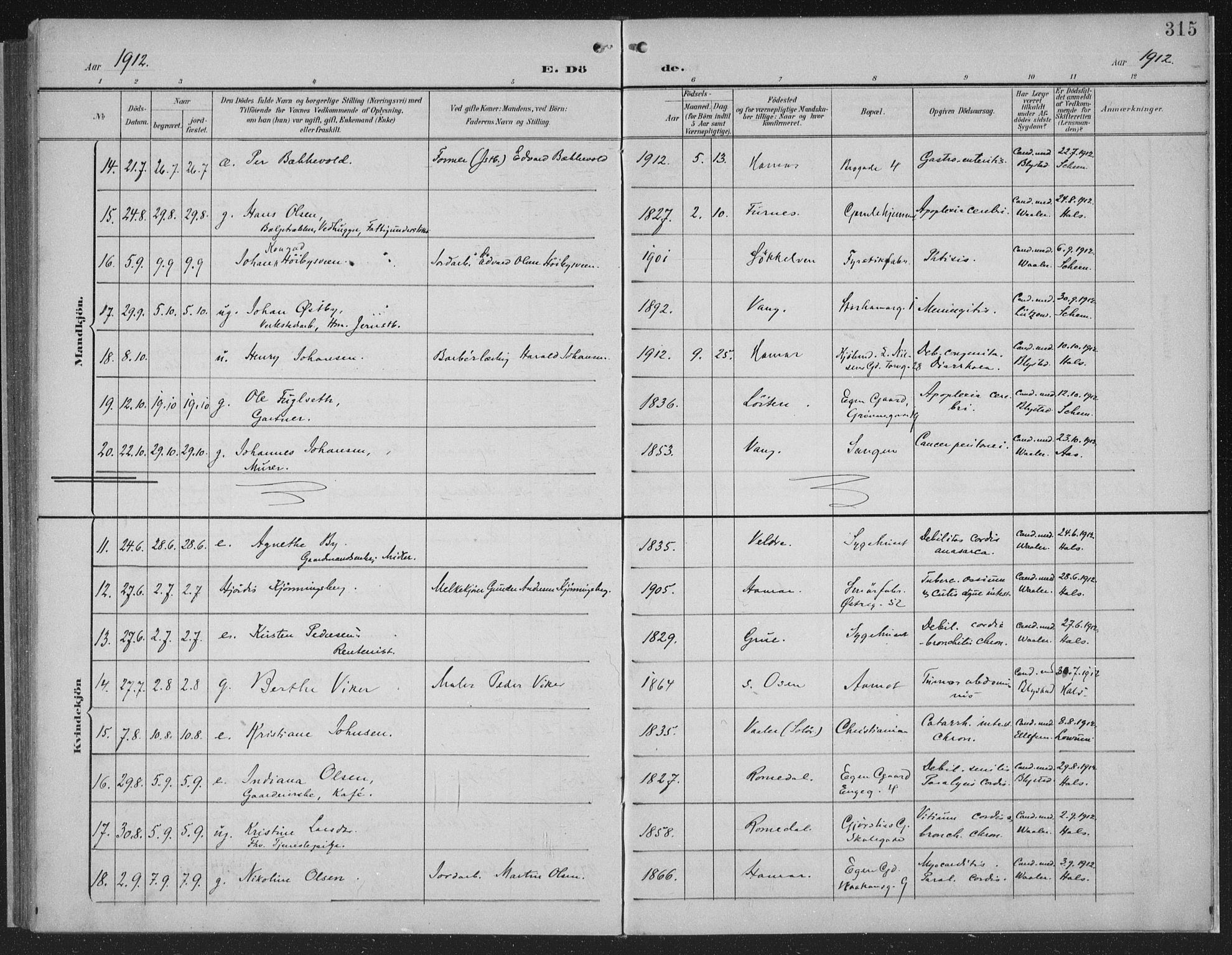 Hamar prestekontor, AV/SAH-DOMPH-002/H/Ha/Haa/L0001: Parish register (official) no. 1, 1900-1914, p. 315