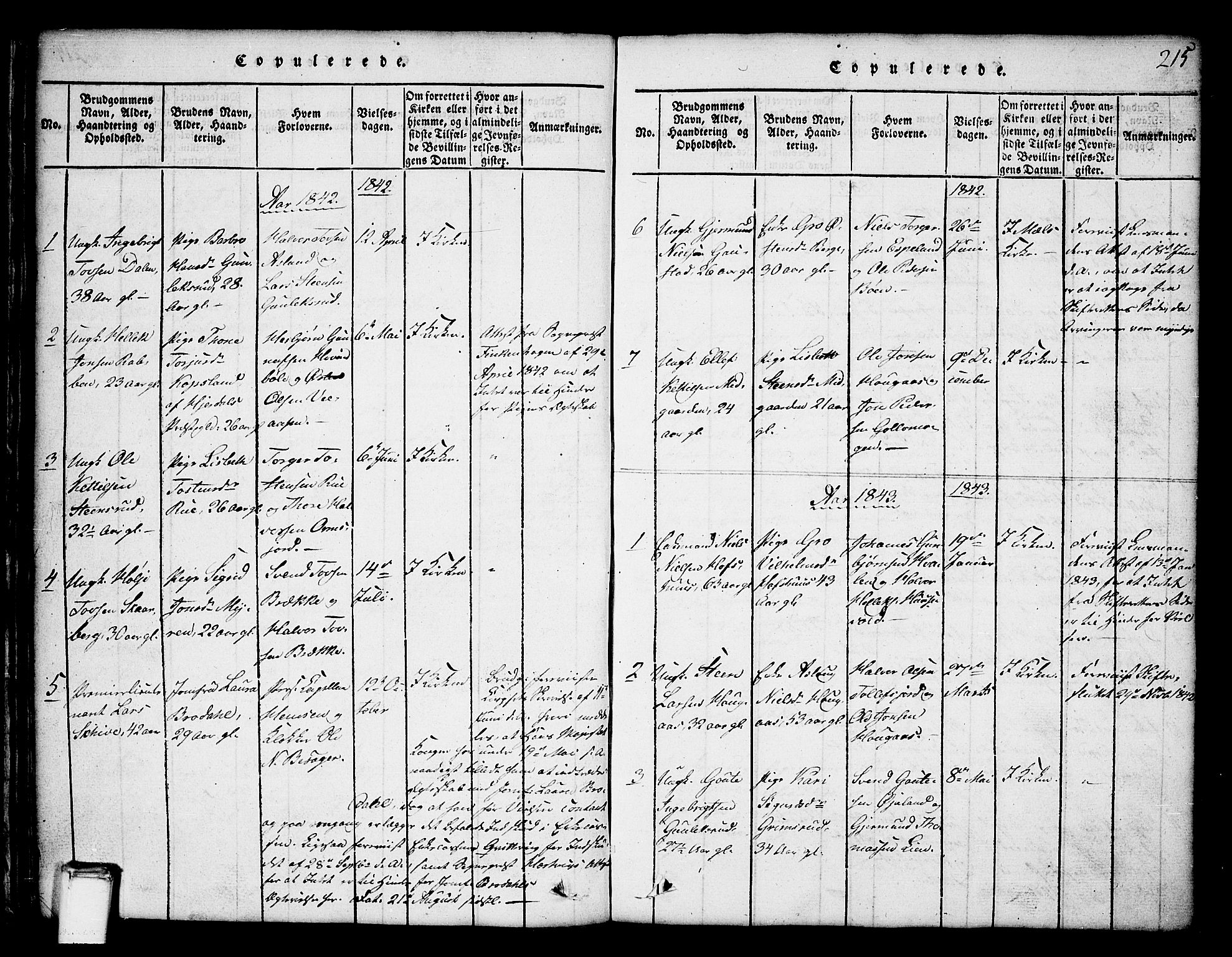 Tinn kirkebøker, AV/SAKO-A-308/G/Ga/L0001: Parish register (copy) no. I 1, 1815-1850, p. 215