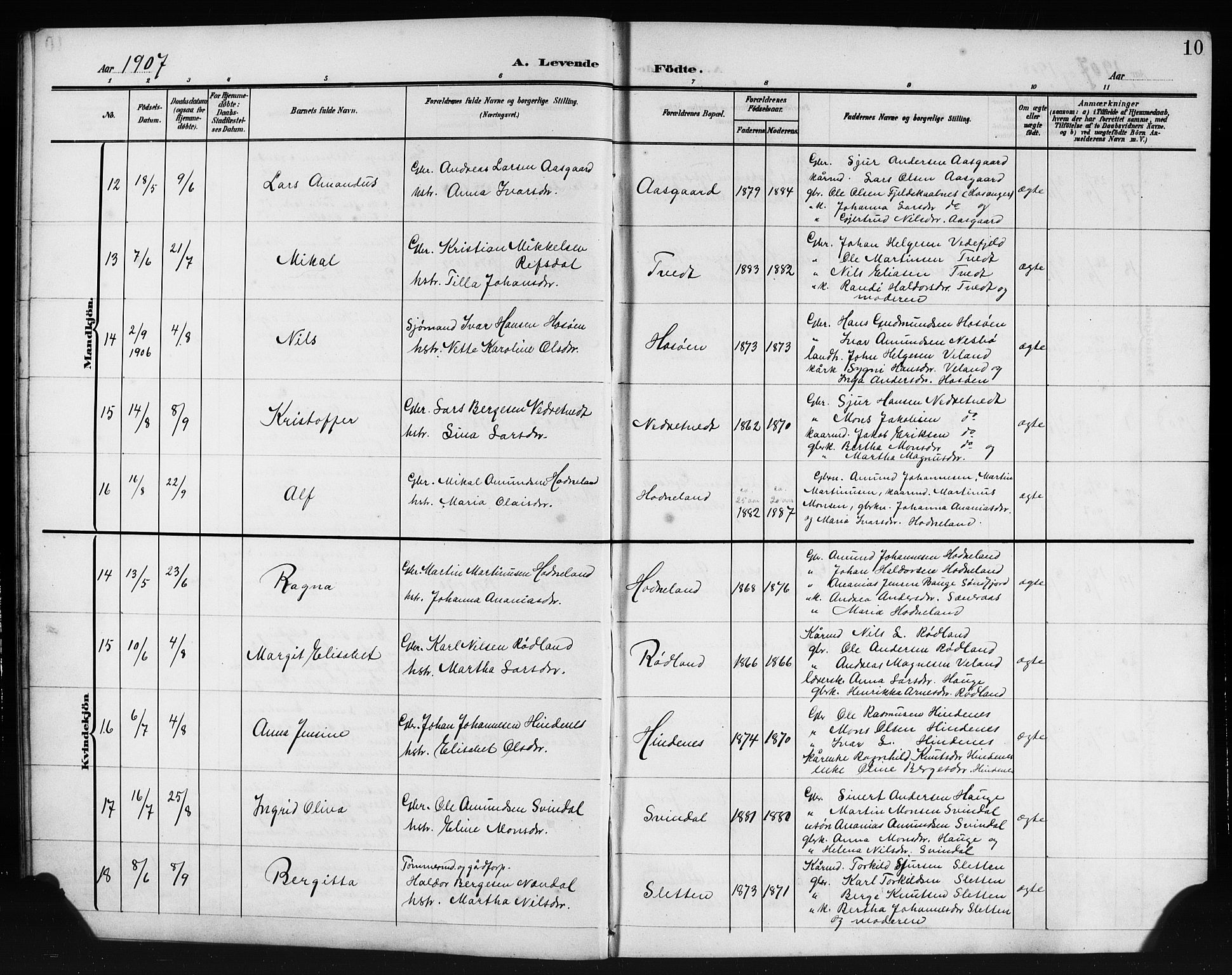 Lindås Sokneprestembete, AV/SAB-A-76701/H/Hab/Habe/L0004: Parish register (copy) no. E 4, 1906-1921, p. 10