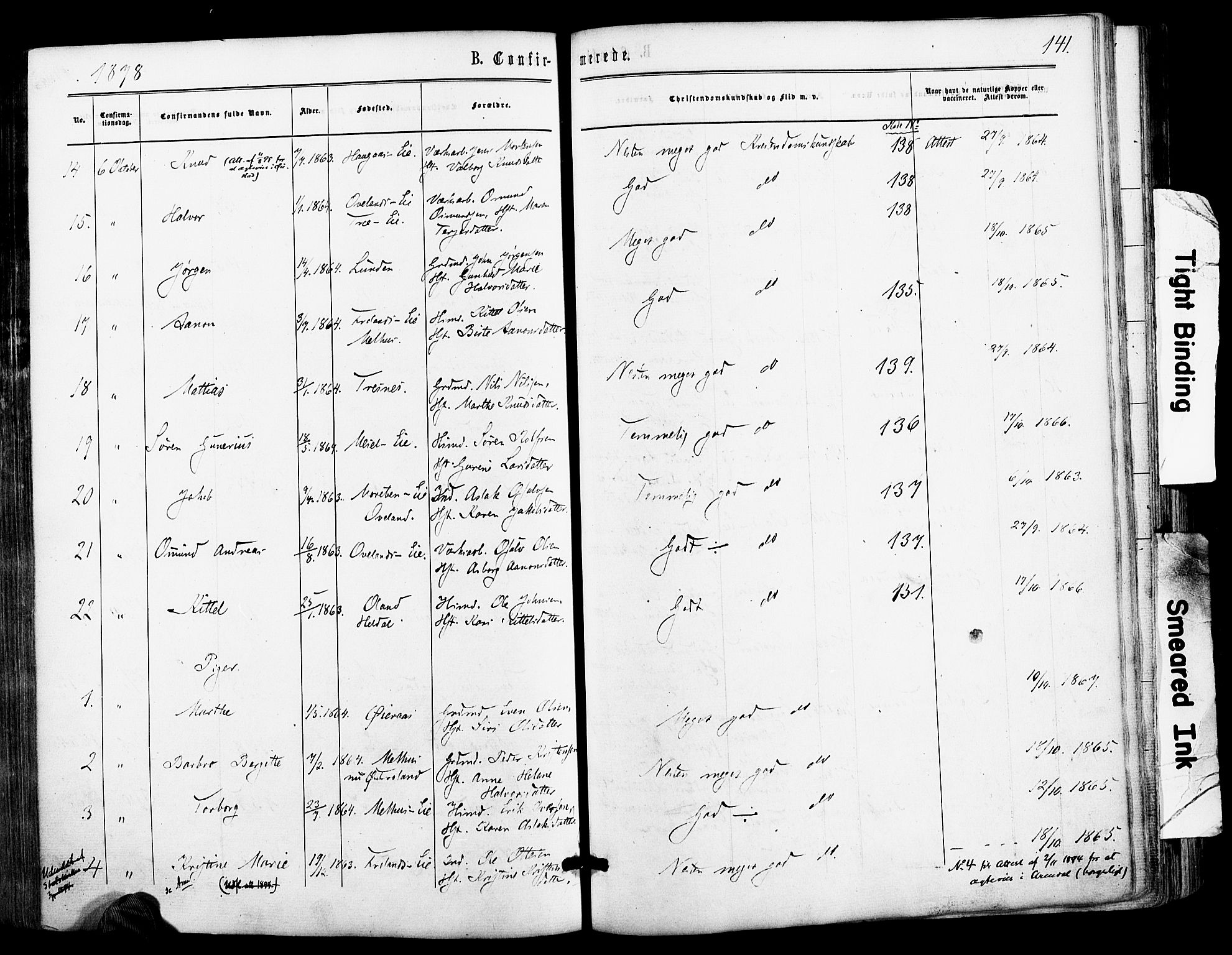 Froland sokneprestkontor, AV/SAK-1111-0013/F/Fa/L0003: Parish register (official) no. A 3, 1864-1881, p. 141