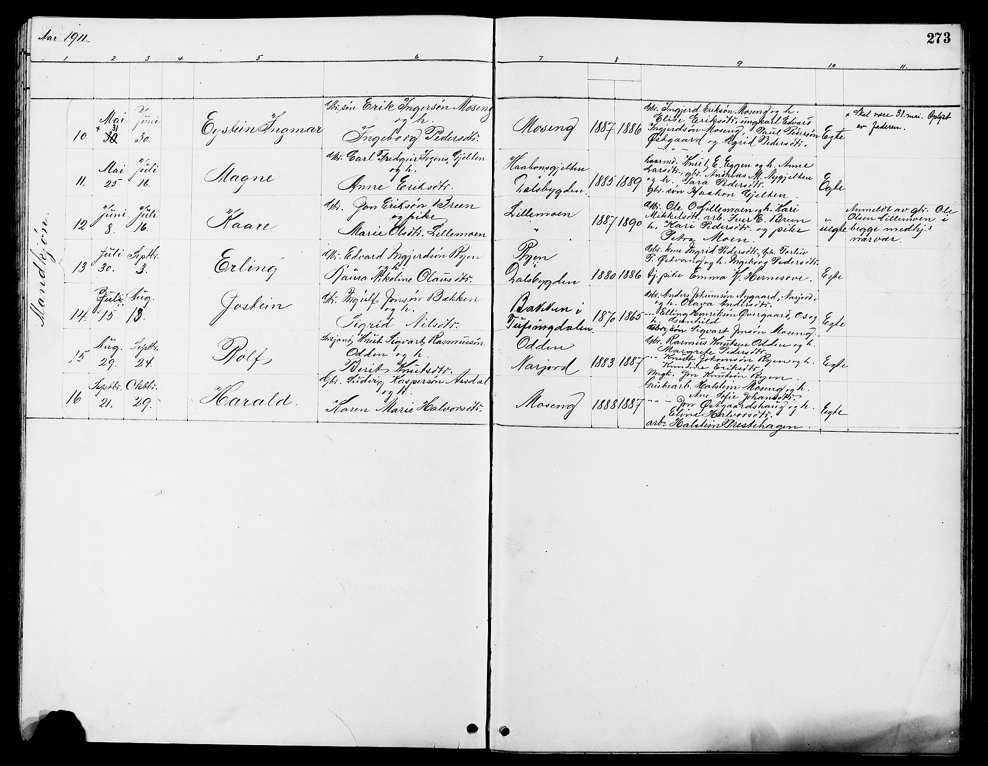 Tolga prestekontor, AV/SAH-PREST-062/L/L0008: Parish register (copy) no. 8, 1887-1912, p. 273