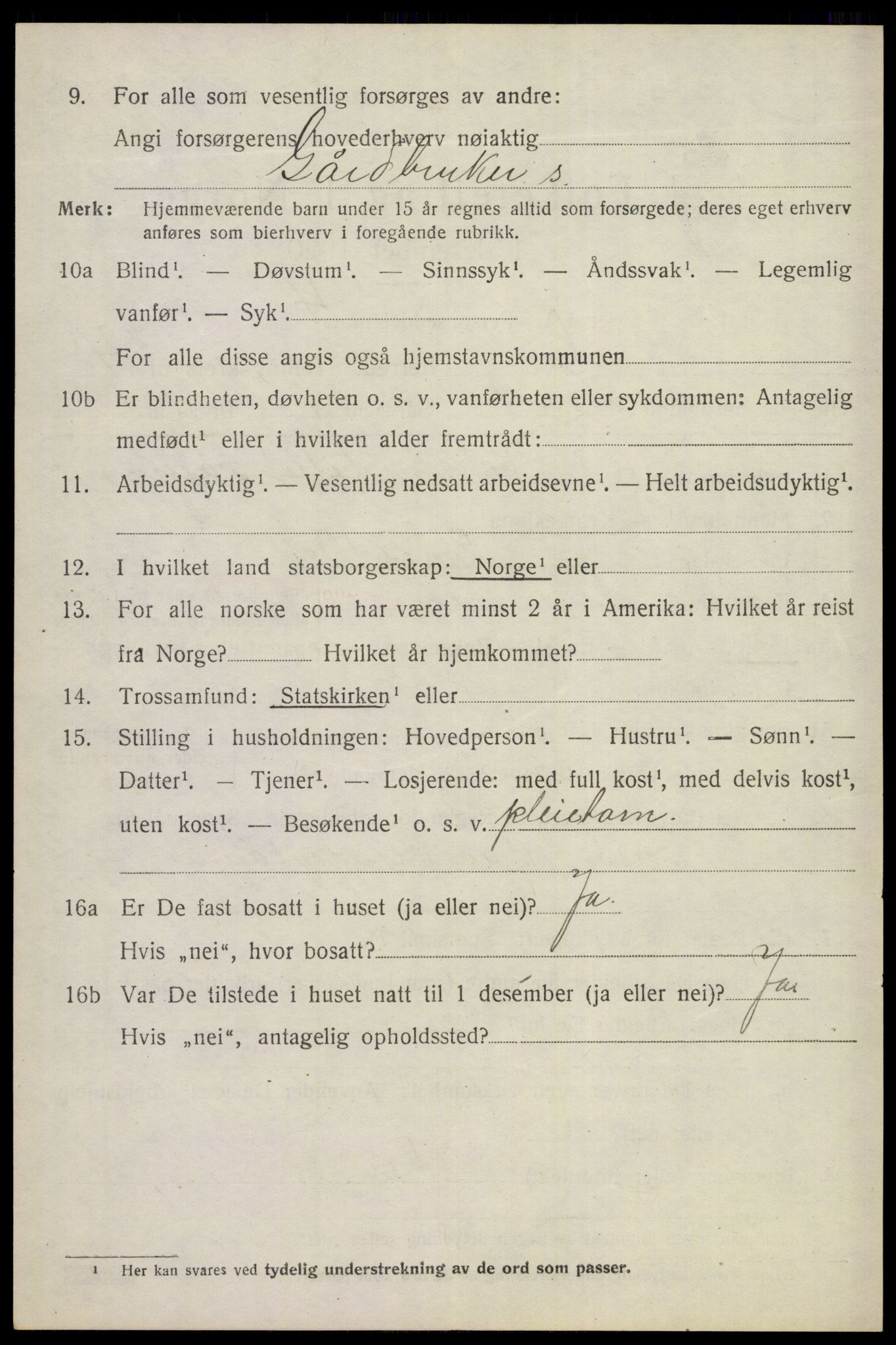 SAKO, 1920 census for Gol, 1920, p. 2737