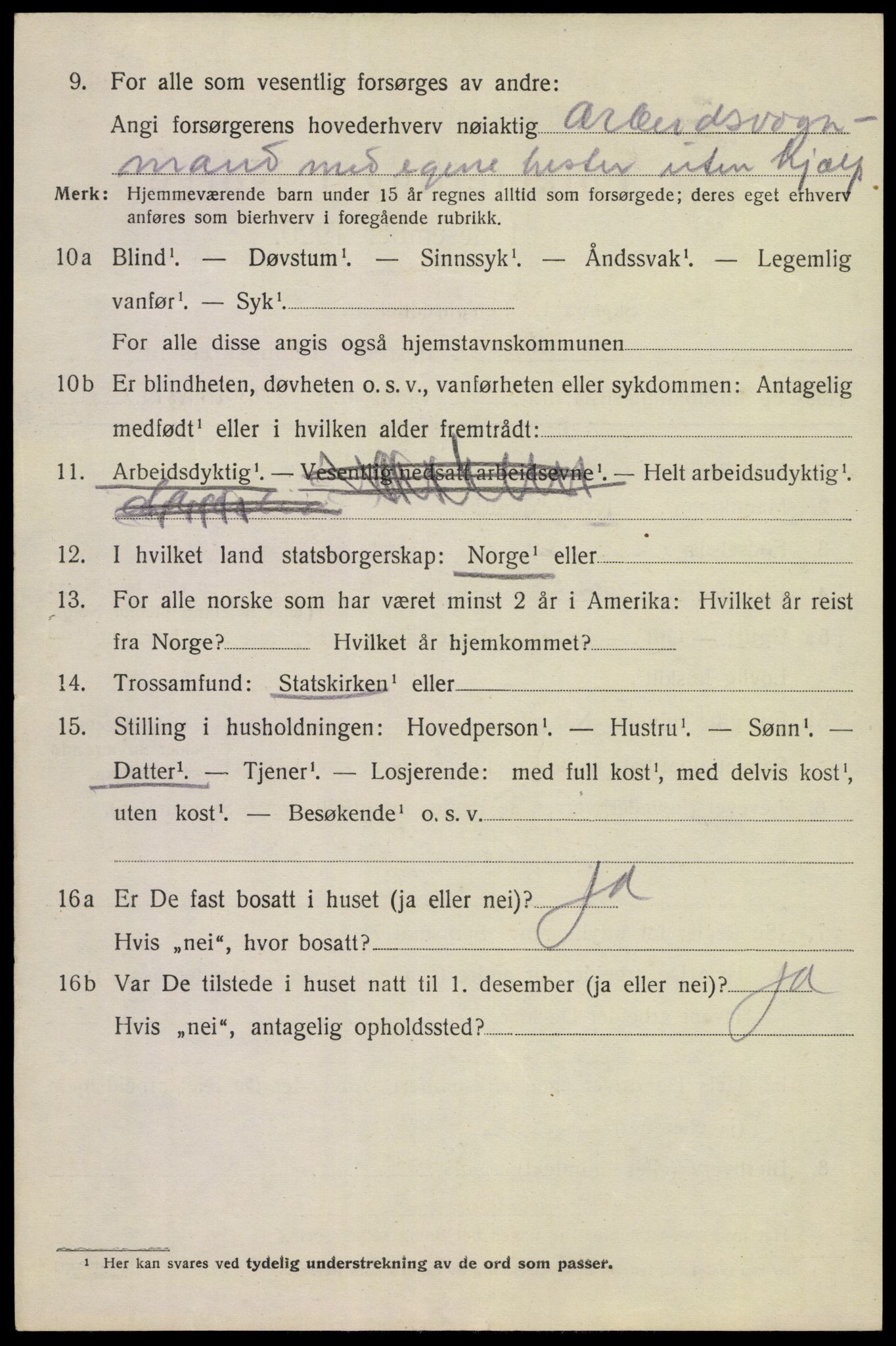 SAKO, 1920 census for Tinn, 1920, p. 16255