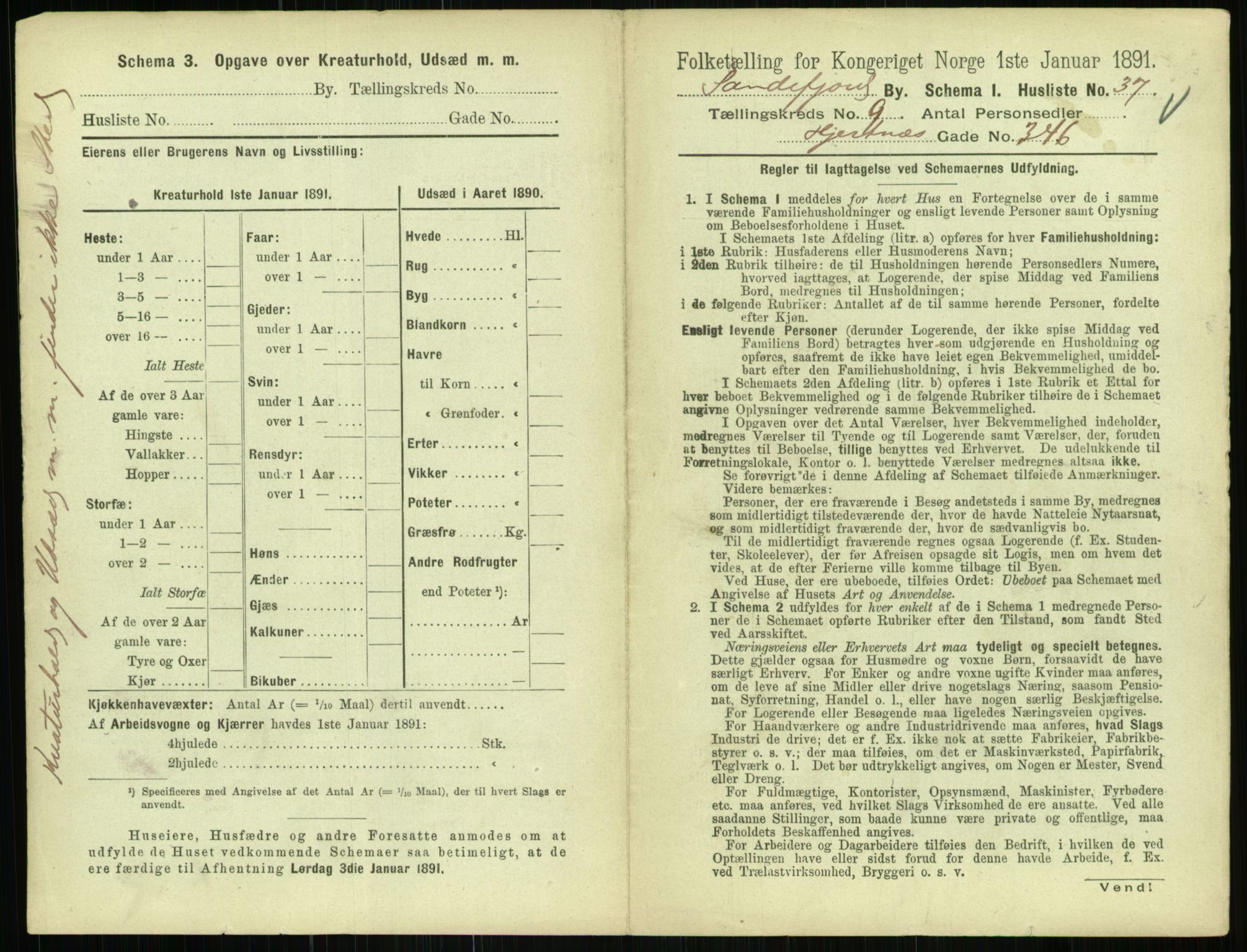 RA, 1891 census for 0706 Sandefjord, 1891, p. 977