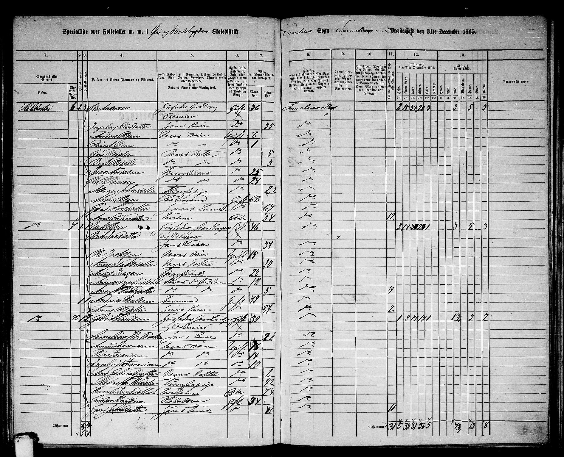 RA, 1865 census for Sunnylven, 1865, p. 45