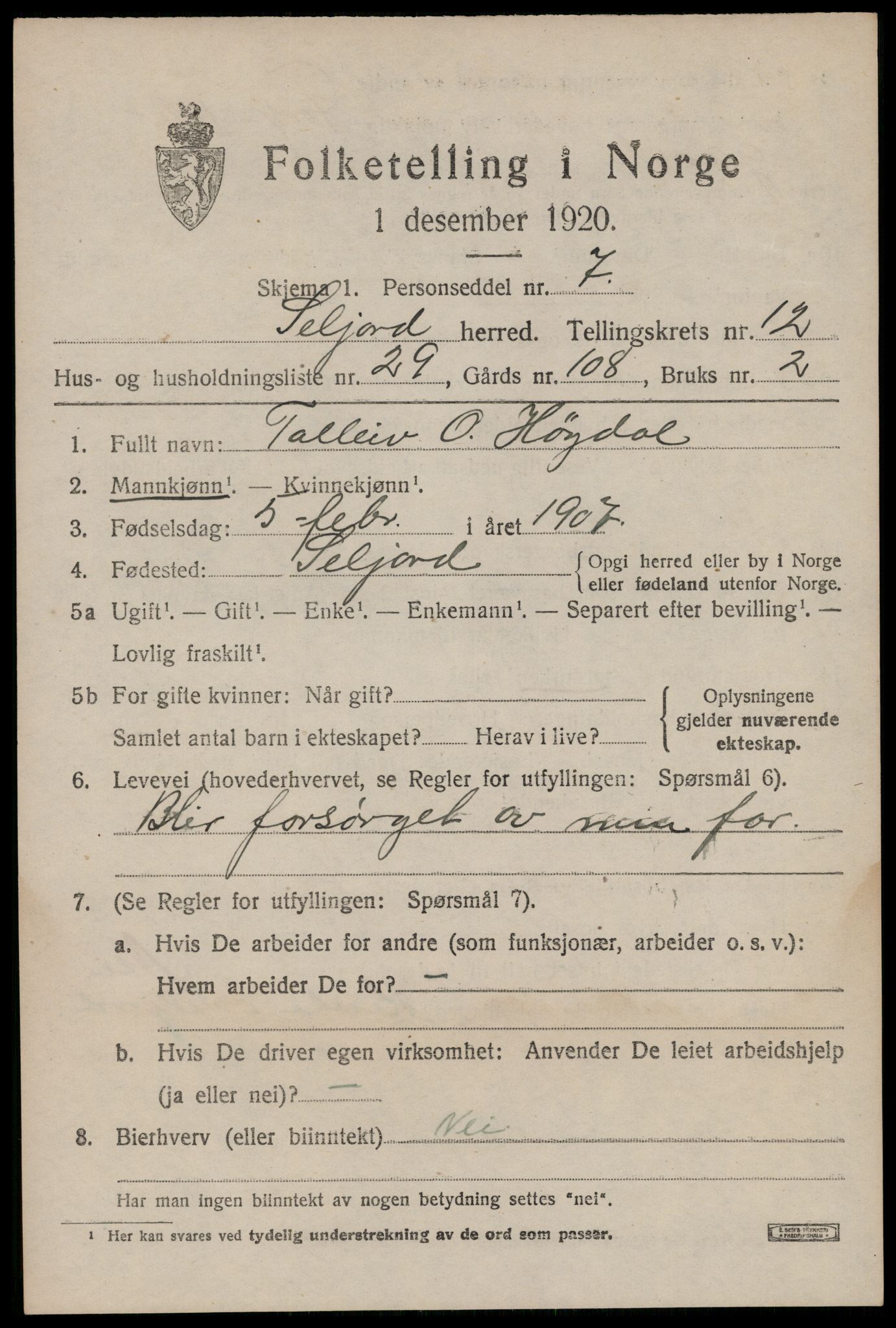 SAKO, 1920 census for Seljord, 1920, p. 5996