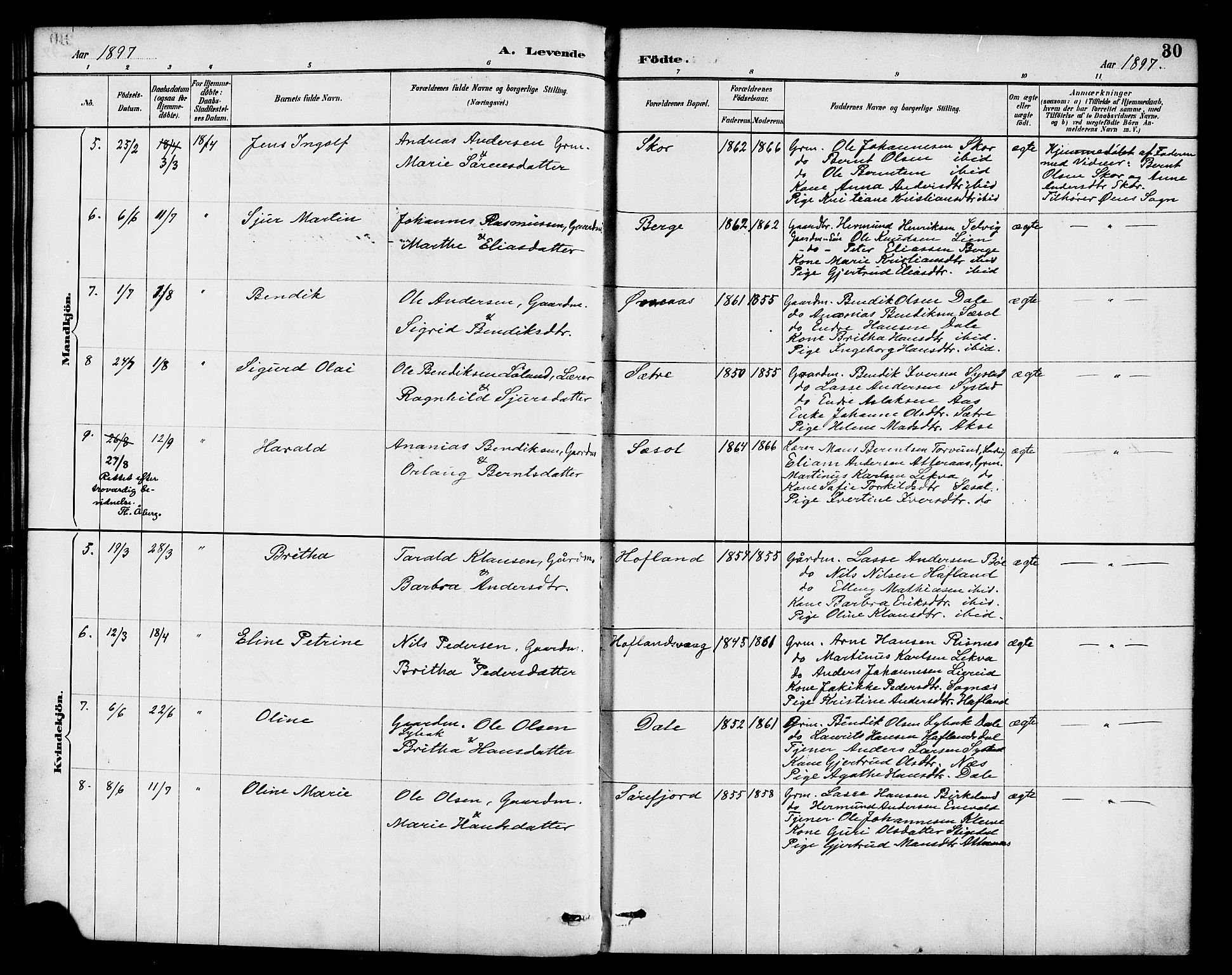 Hyllestad sokneprestembete, SAB/A-80401: Parish register (official) no. B 1, 1886-1904, p. 30