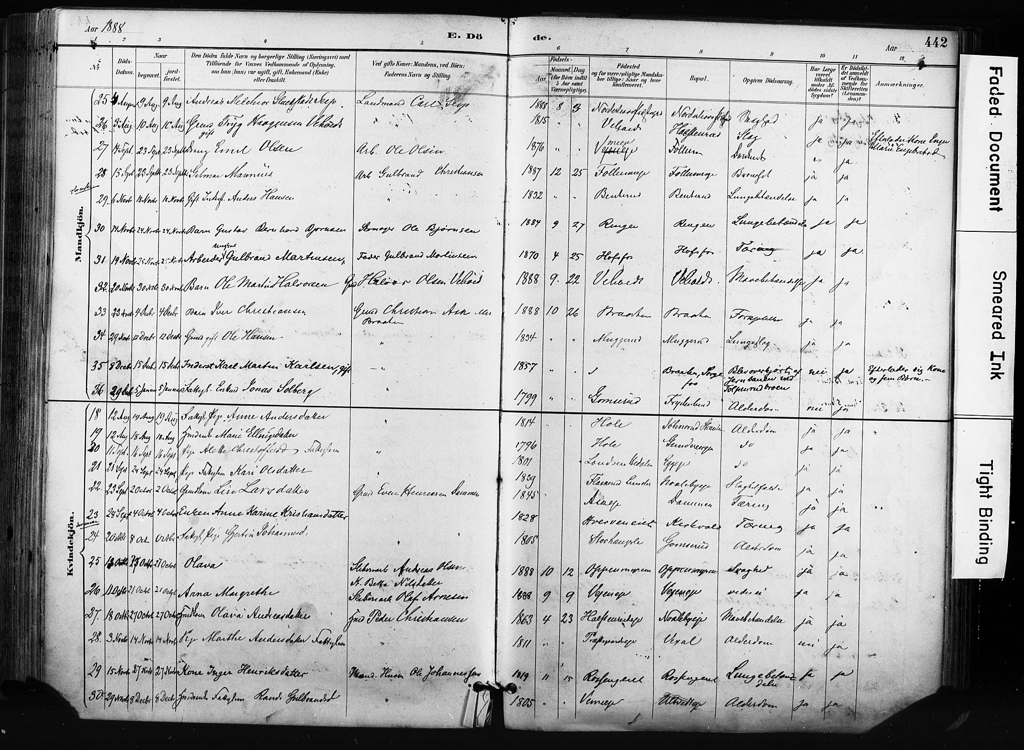 Norderhov kirkebøker, AV/SAKO-A-237/F/Fa/L0016: Parish register (official) no. 16, 1885-1902, p. 442