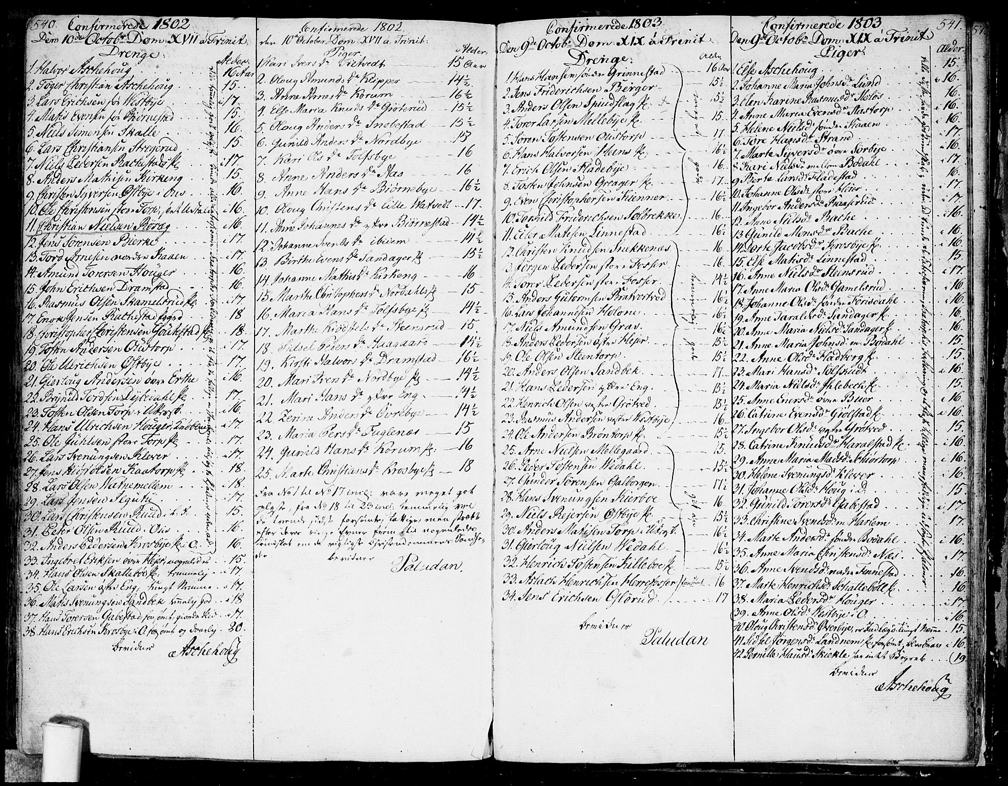 Rakkestad prestekontor Kirkebøker, SAO/A-2008/F/Fa/L0005: Parish register (official) no. I 5, 1784-1814, p. 540-541