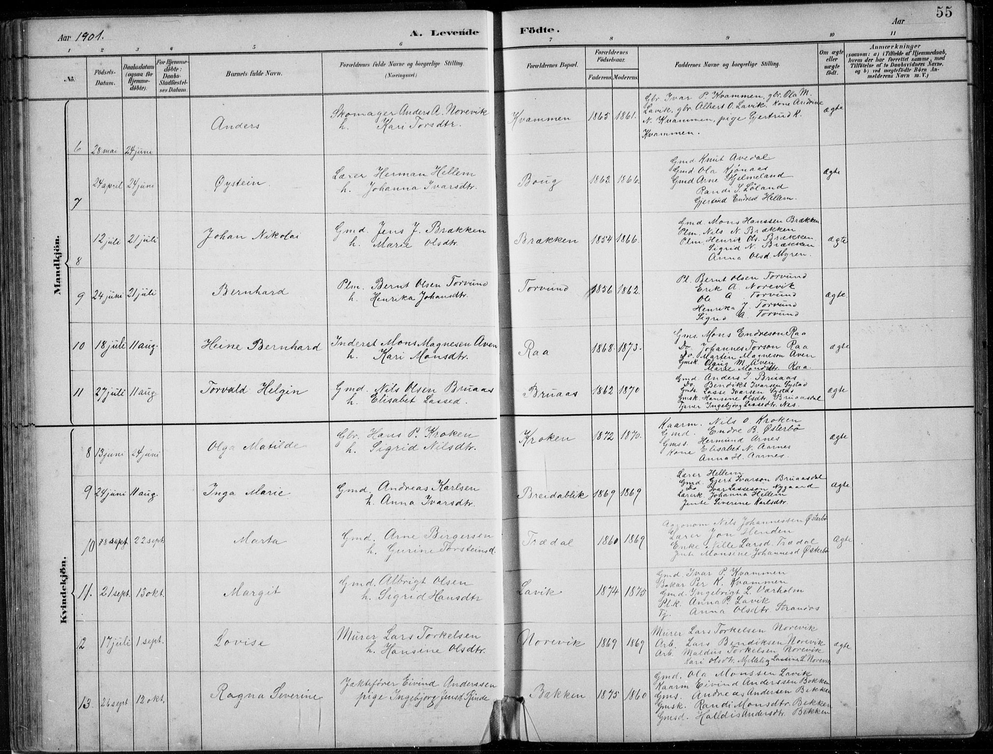 Lavik sokneprestembete, SAB/A-80901: Parish register (copy) no. A 2, 1882-1910, p. 55