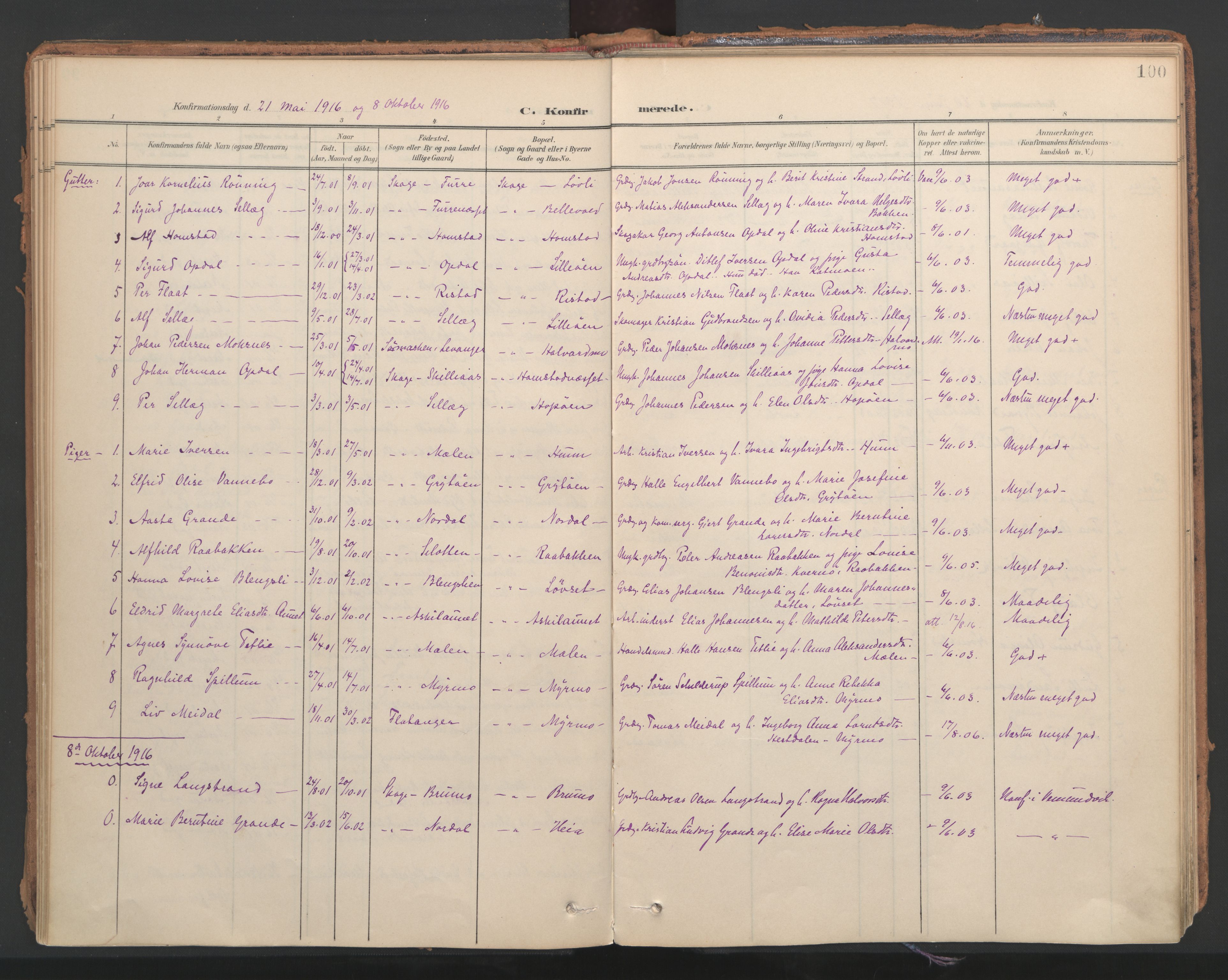 Ministerialprotokoller, klokkerbøker og fødselsregistre - Nord-Trøndelag, SAT/A-1458/766/L0564: Parish register (official) no. 767A02, 1900-1932, p. 100