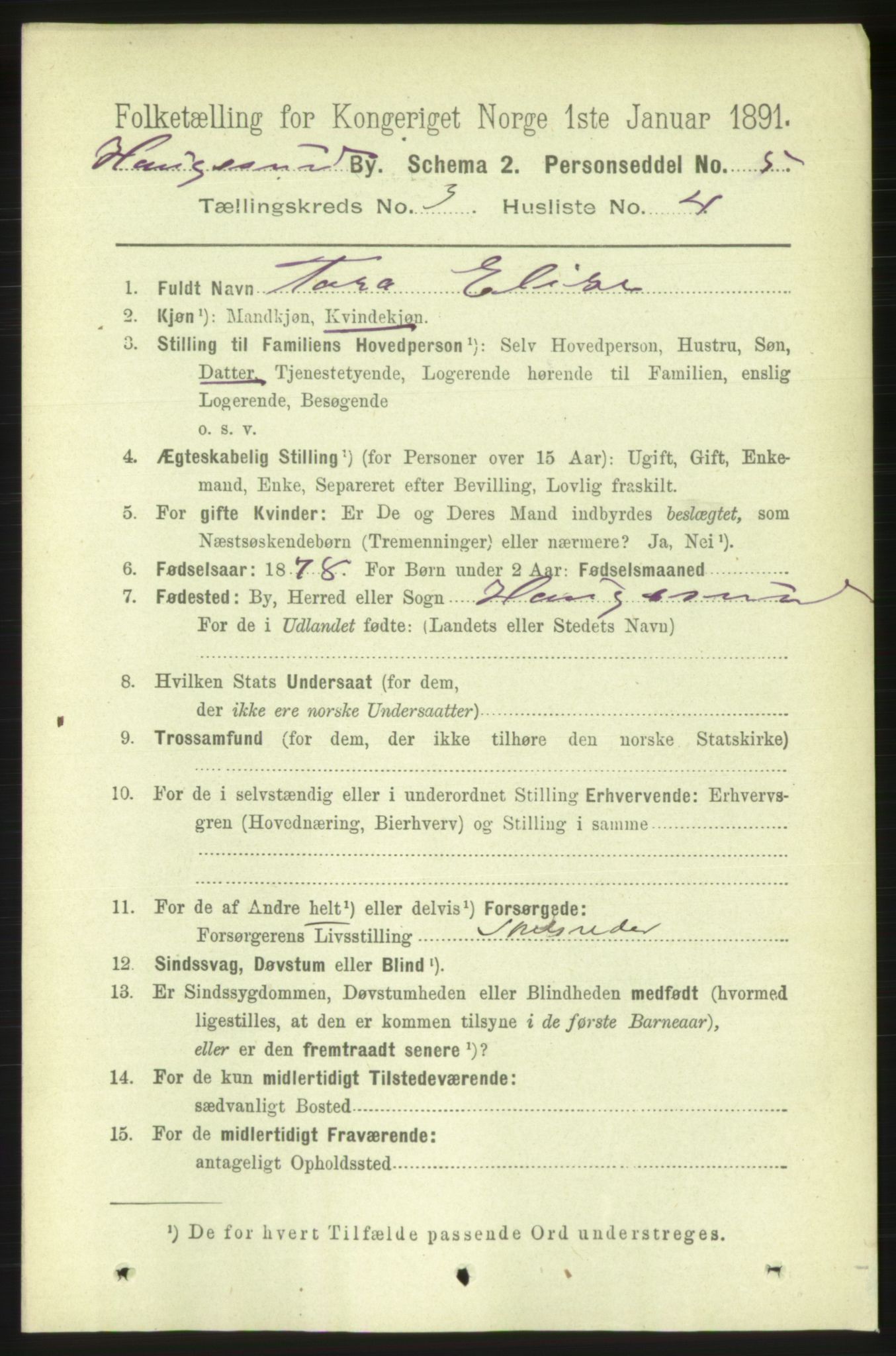 RA, 1891 census for 1106 Haugesund, 1891, p. 1060