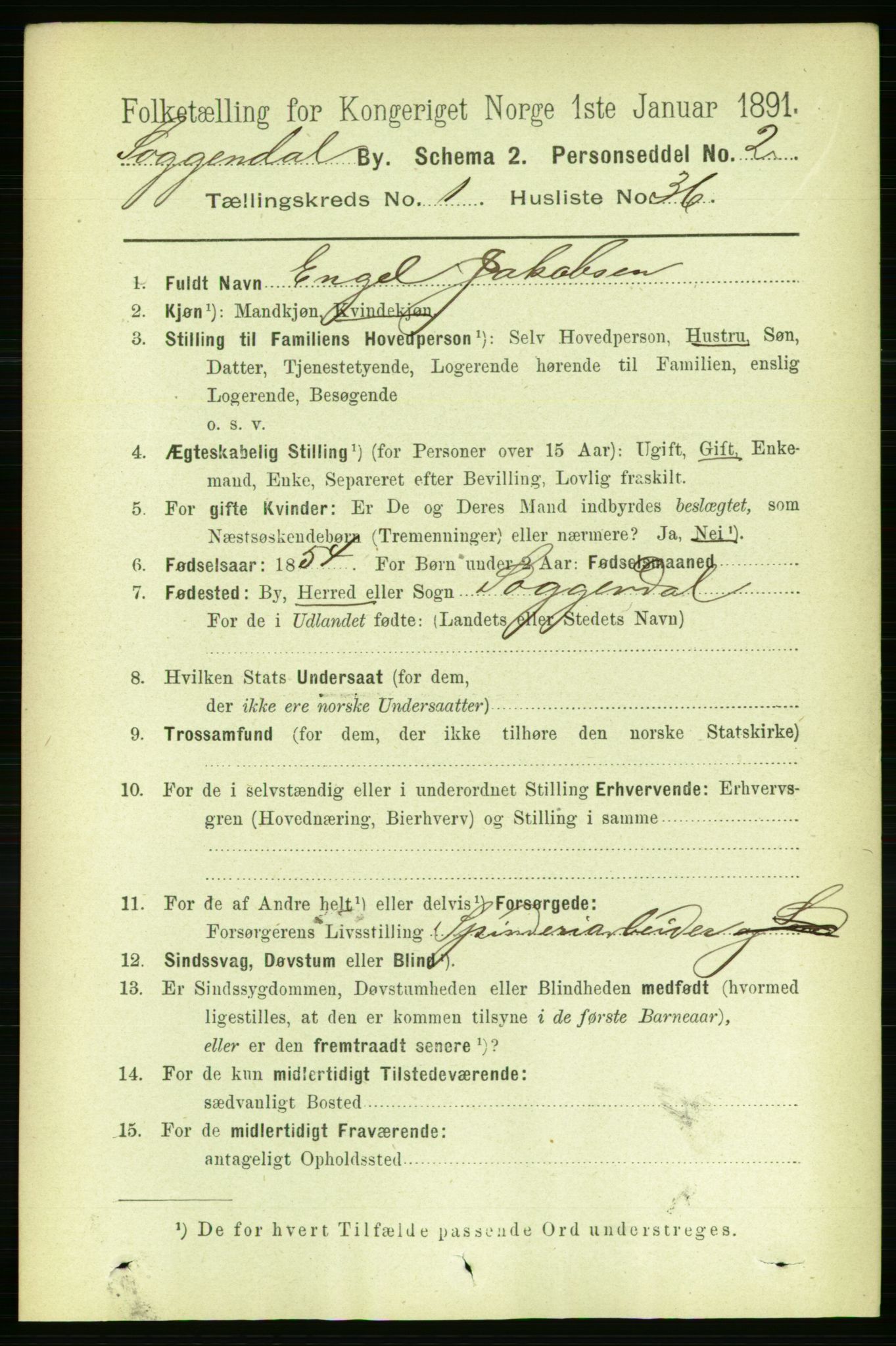 RA, 1891 census for 1107 Sokndal, 1891, p. 203