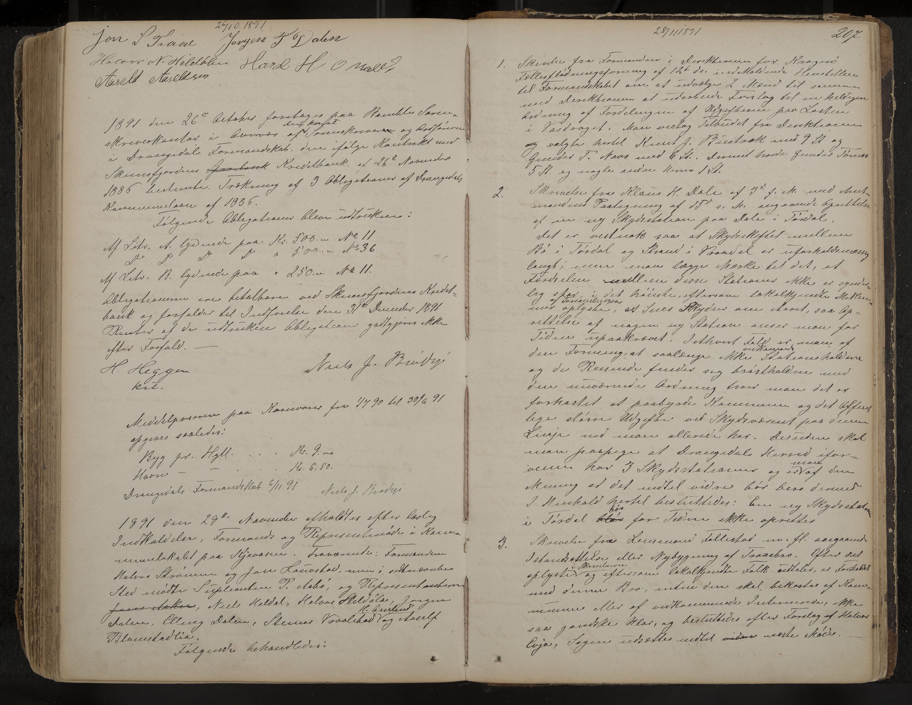 Drangedal formannskap og sentraladministrasjon, IKAK/0817021/A/L0002: Møtebok, 1870-1892, p. 207