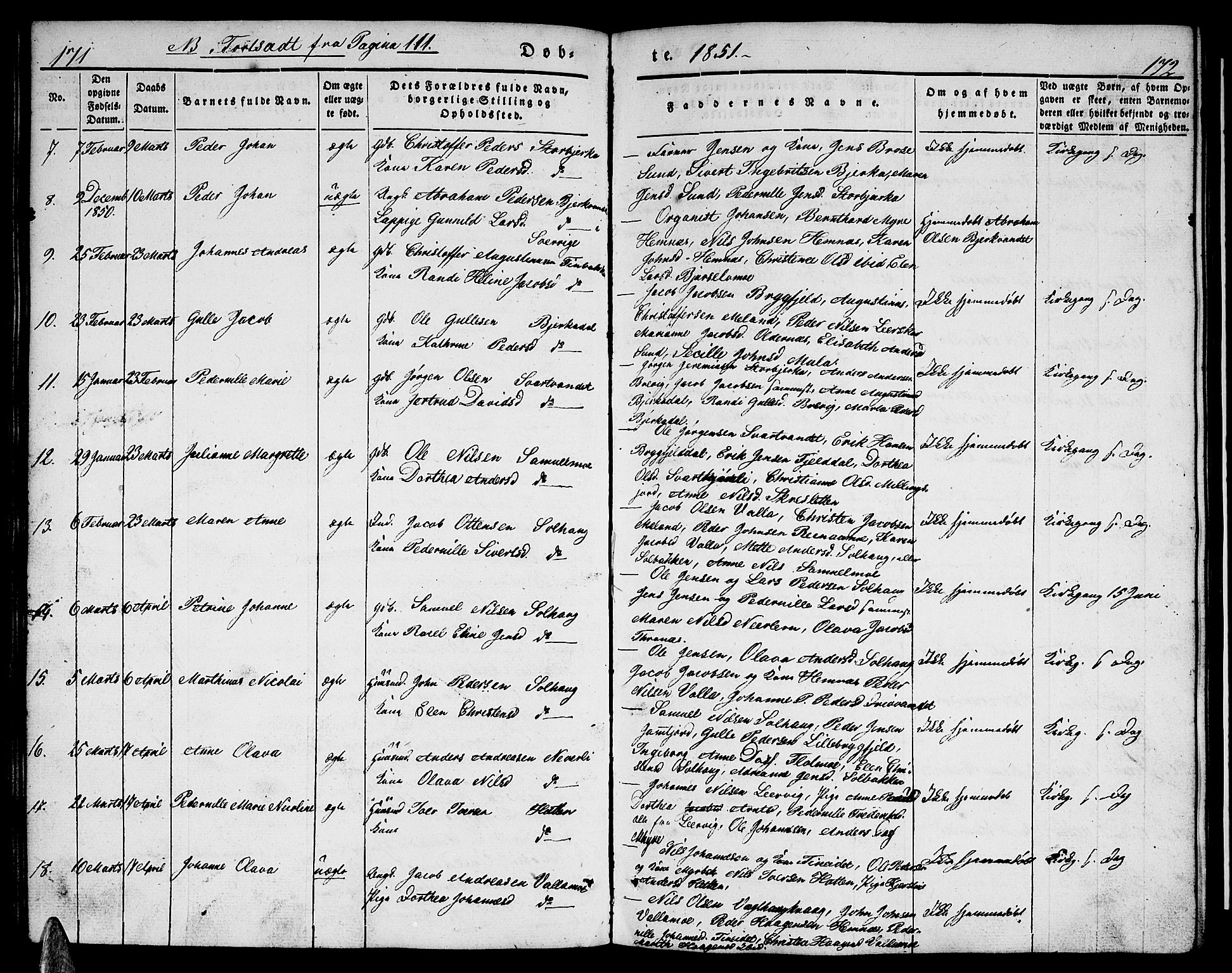 Ministerialprotokoller, klokkerbøker og fødselsregistre - Nordland, AV/SAT-A-1459/825/L0364: Parish register (copy) no. 825C01, 1841-1863, p. 171-172