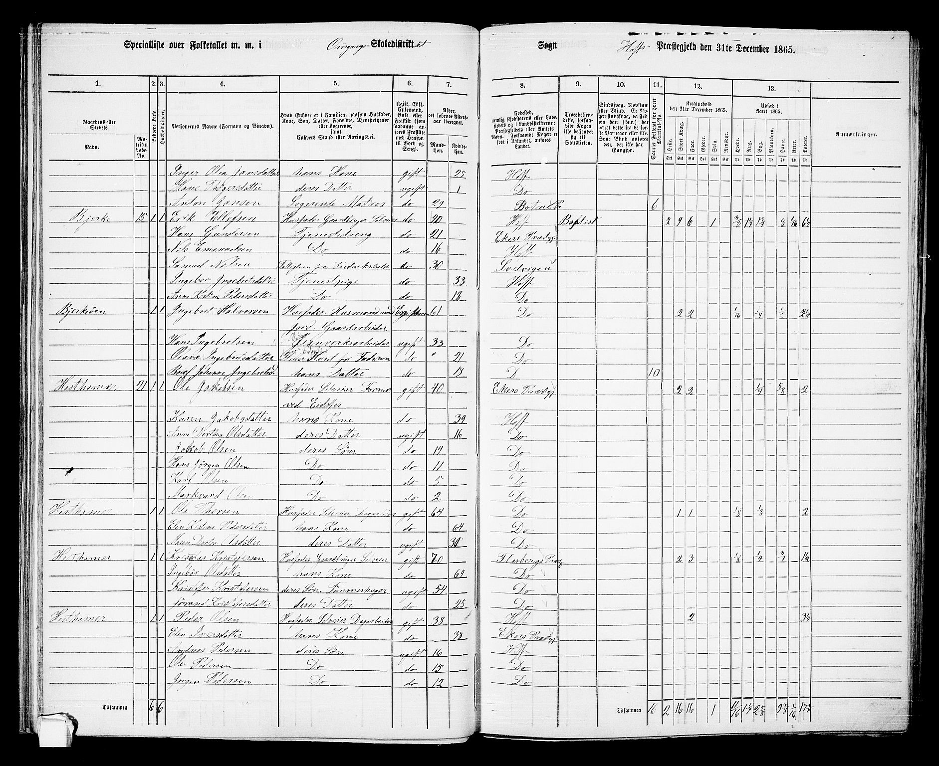 RA, 1865 census for Hof, 1865, p. 48