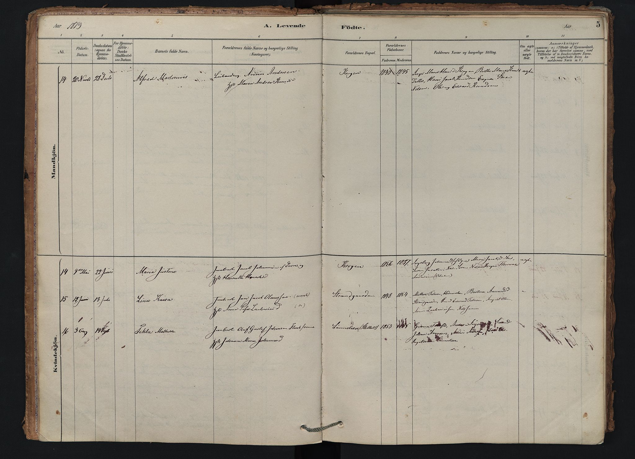 Brunlanes kirkebøker, SAKO/A-342/F/Fd/L0001: Parish register (official) no. IV 1, 1878-1917, p. 5