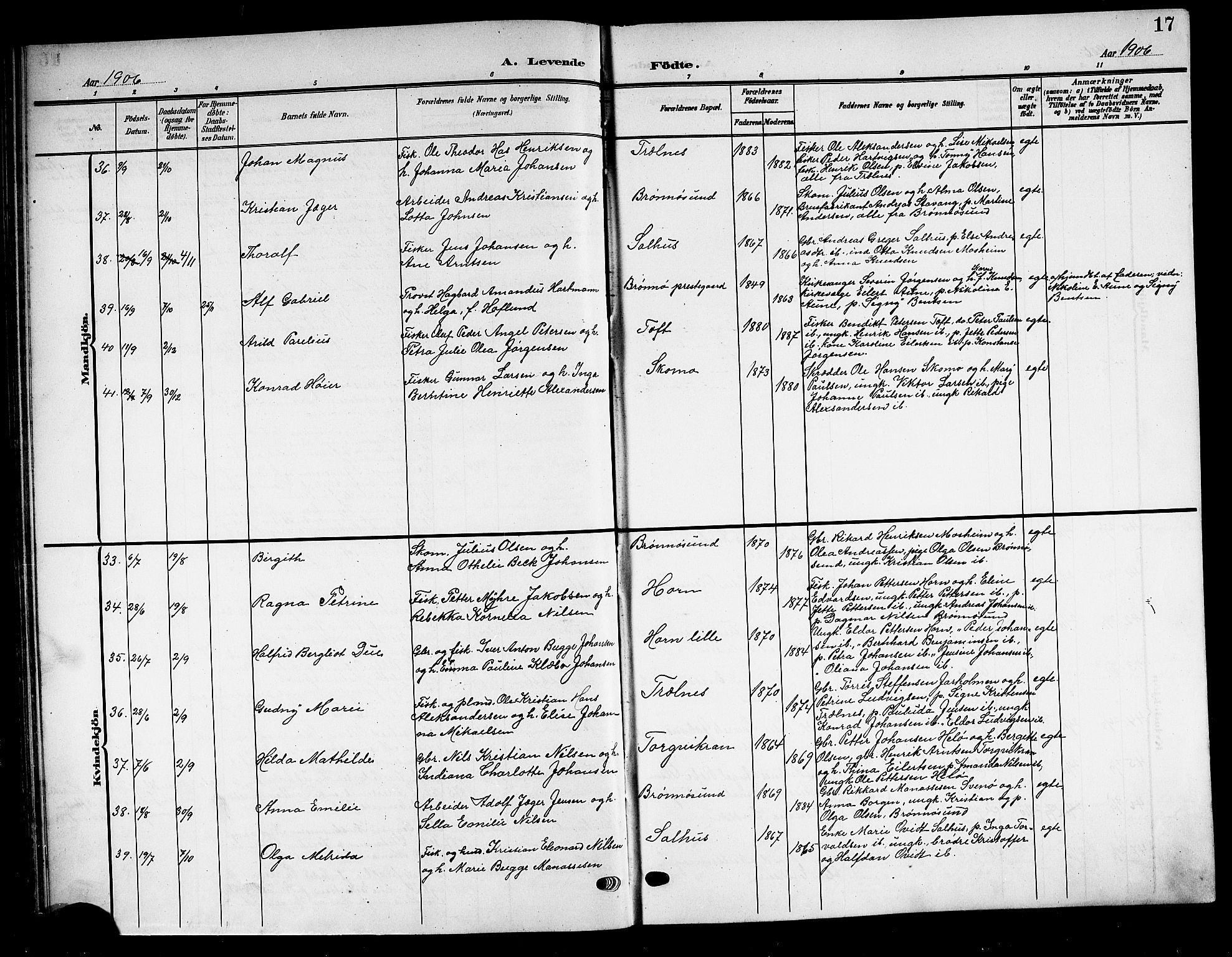 Ministerialprotokoller, klokkerbøker og fødselsregistre - Nordland, AV/SAT-A-1459/813/L0214: Parish register (copy) no. 813C06, 1904-1917, p. 17