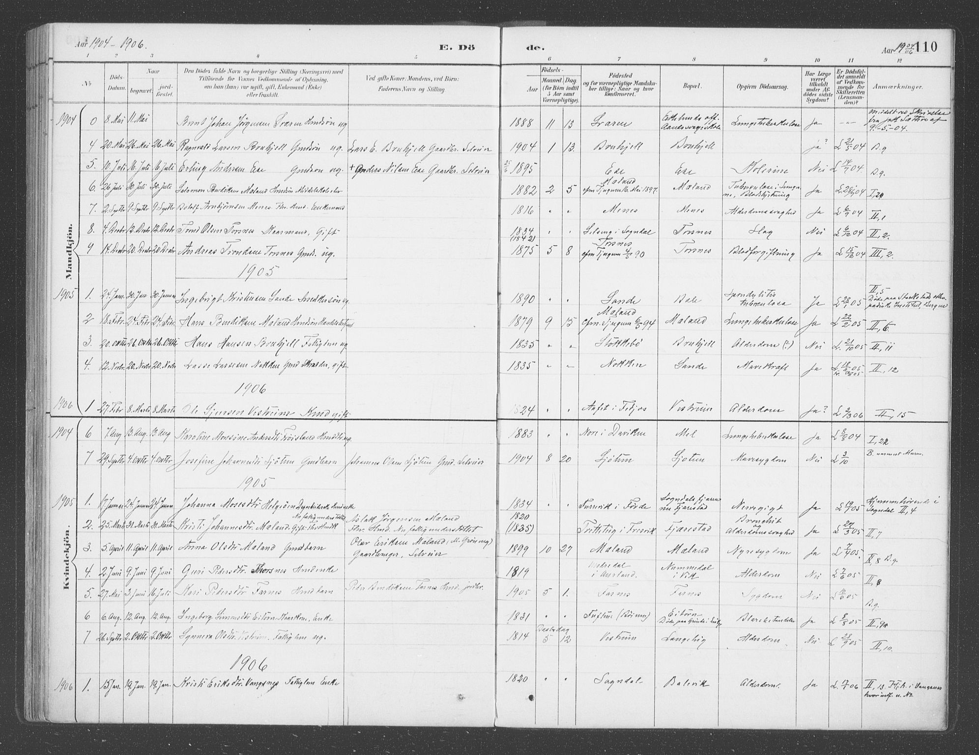 Balestrand sokneprestembete, SAB/A-79601/H/Haa/Haab/L0001: Parish register (official) no. B  1, 1889-1910, p. 110
