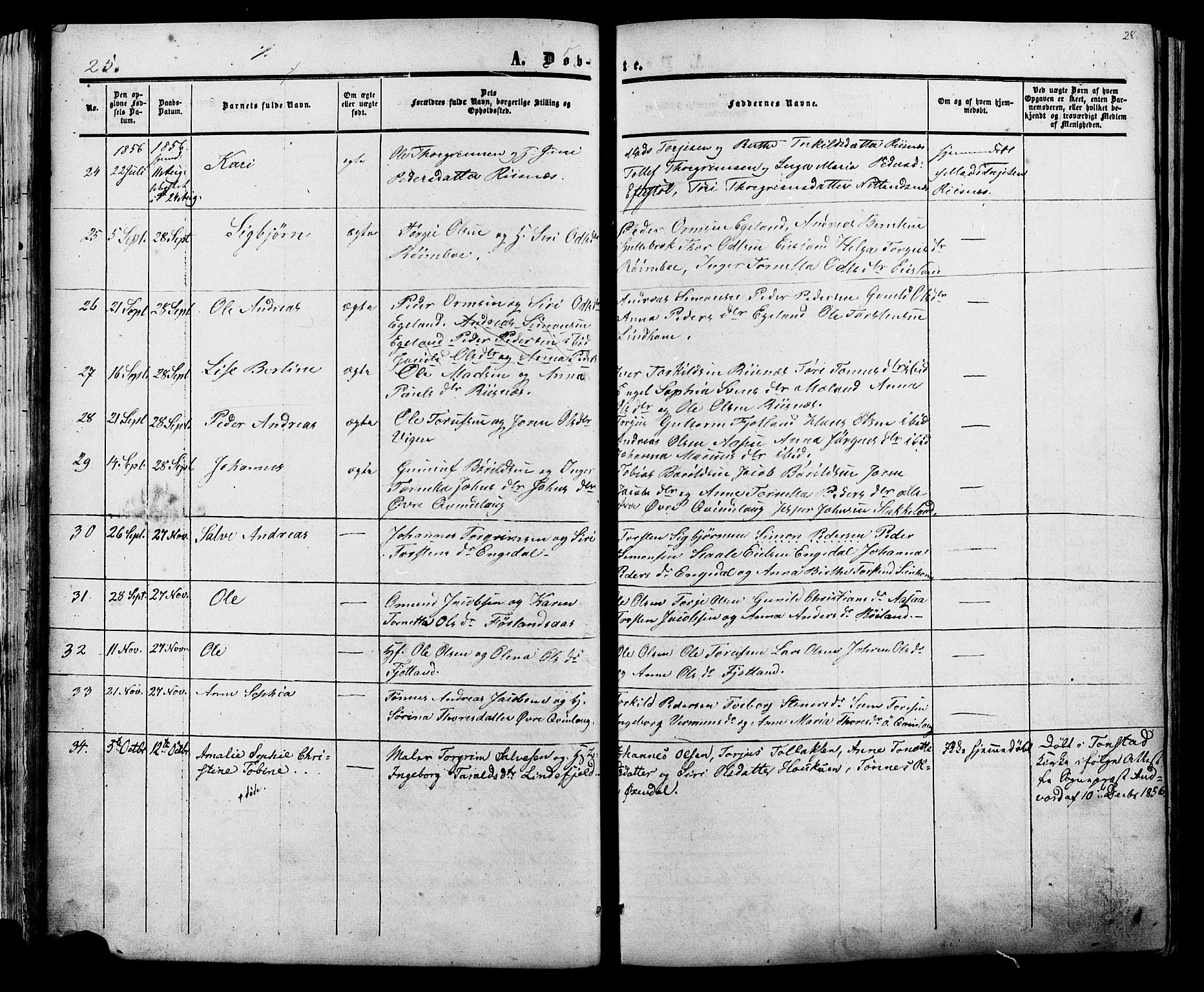 Fjotland sokneprestkontor, AV/SAK-1111-0010/F/Fa/L0001: Parish register (official) no. A 1, 1850-1879, p. 28