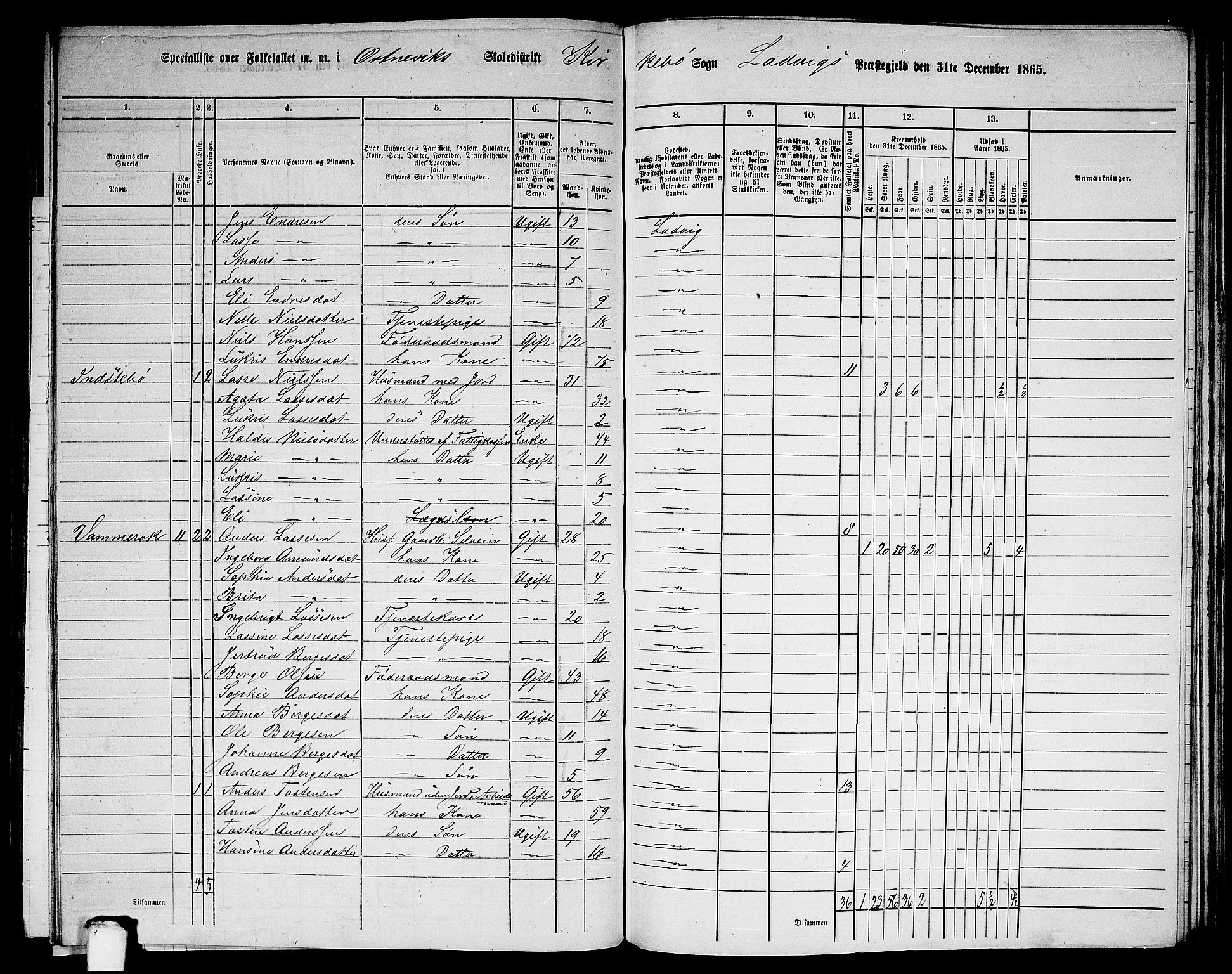 RA, 1865 census for Lavik, 1865, p. 146