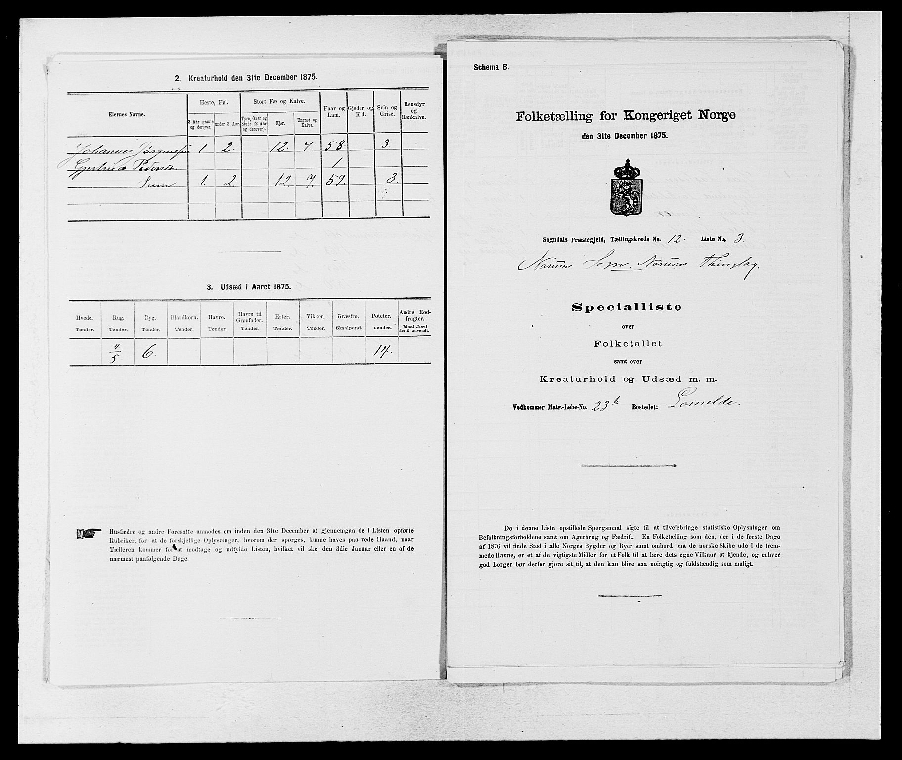 SAB, 1875 census for 1420P Sogndal, 1875, p. 1070