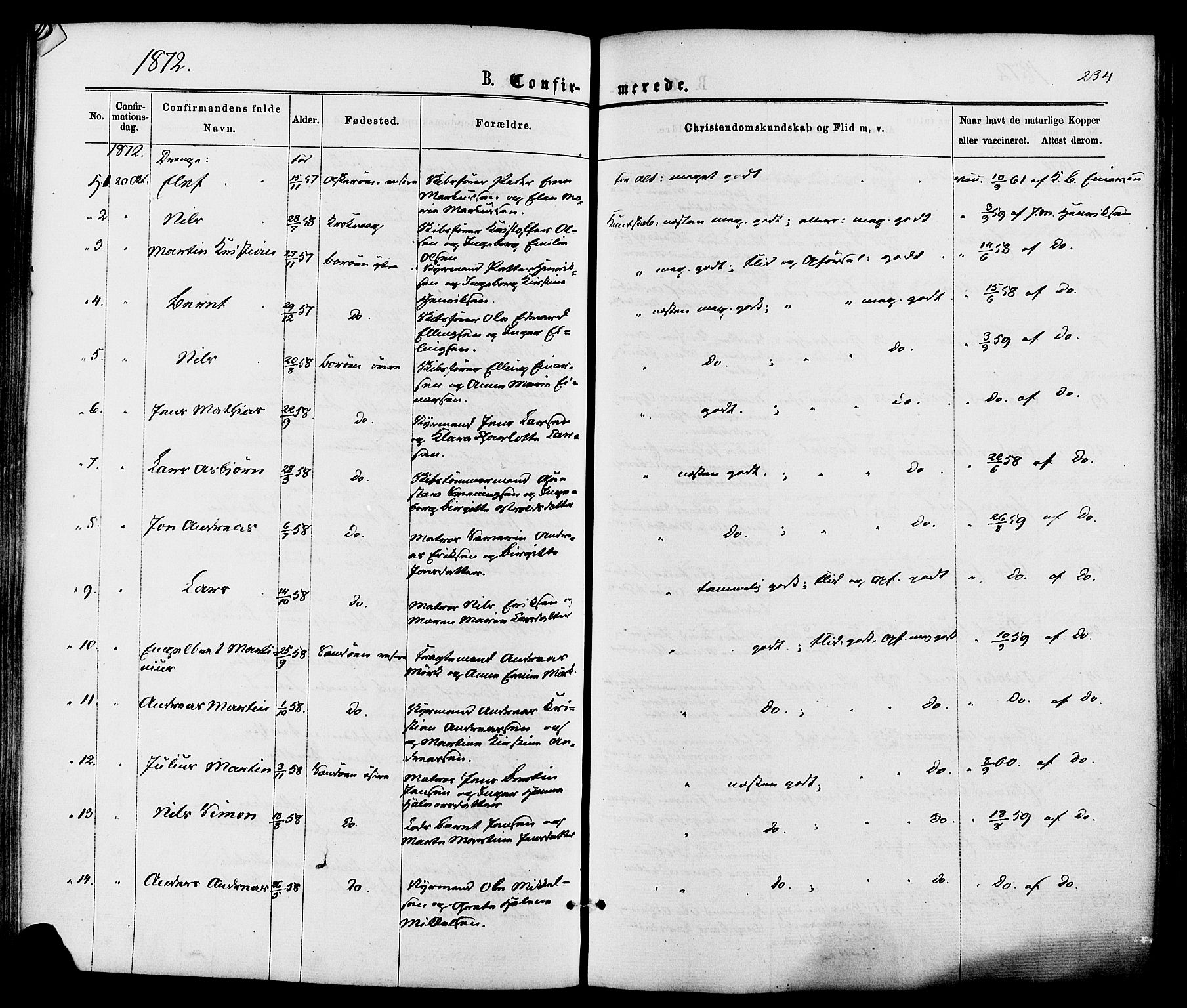 Dypvåg sokneprestkontor, SAK/1111-0007/F/Fa/Faa/L0007: Parish register (official) no. A 7/ 1, 1872-1884, p. 234