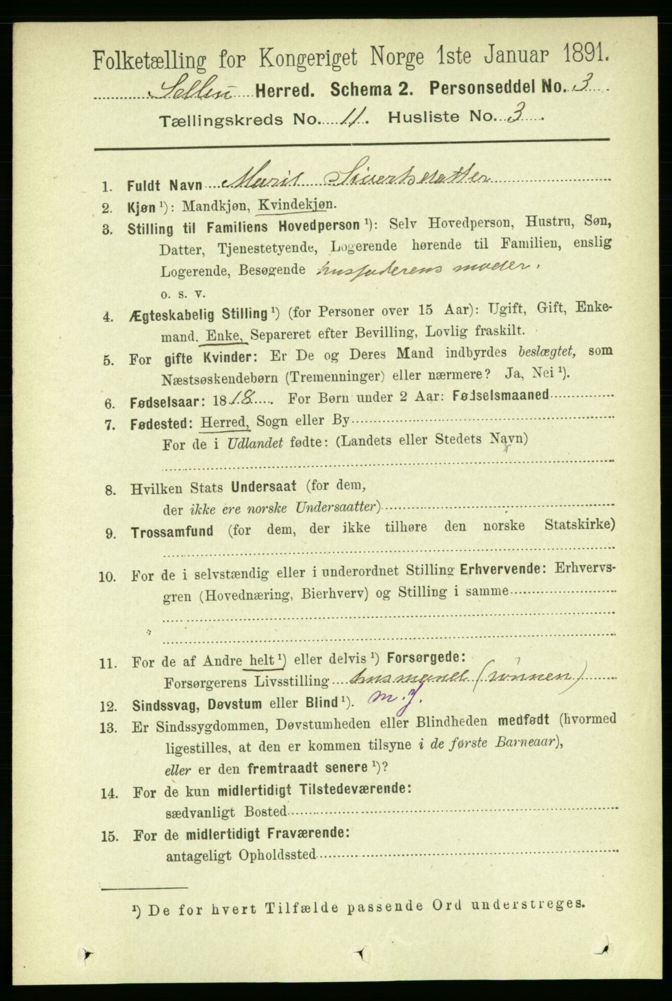 RA, 1891 census for 1664 Selbu, 1891, p. 4008