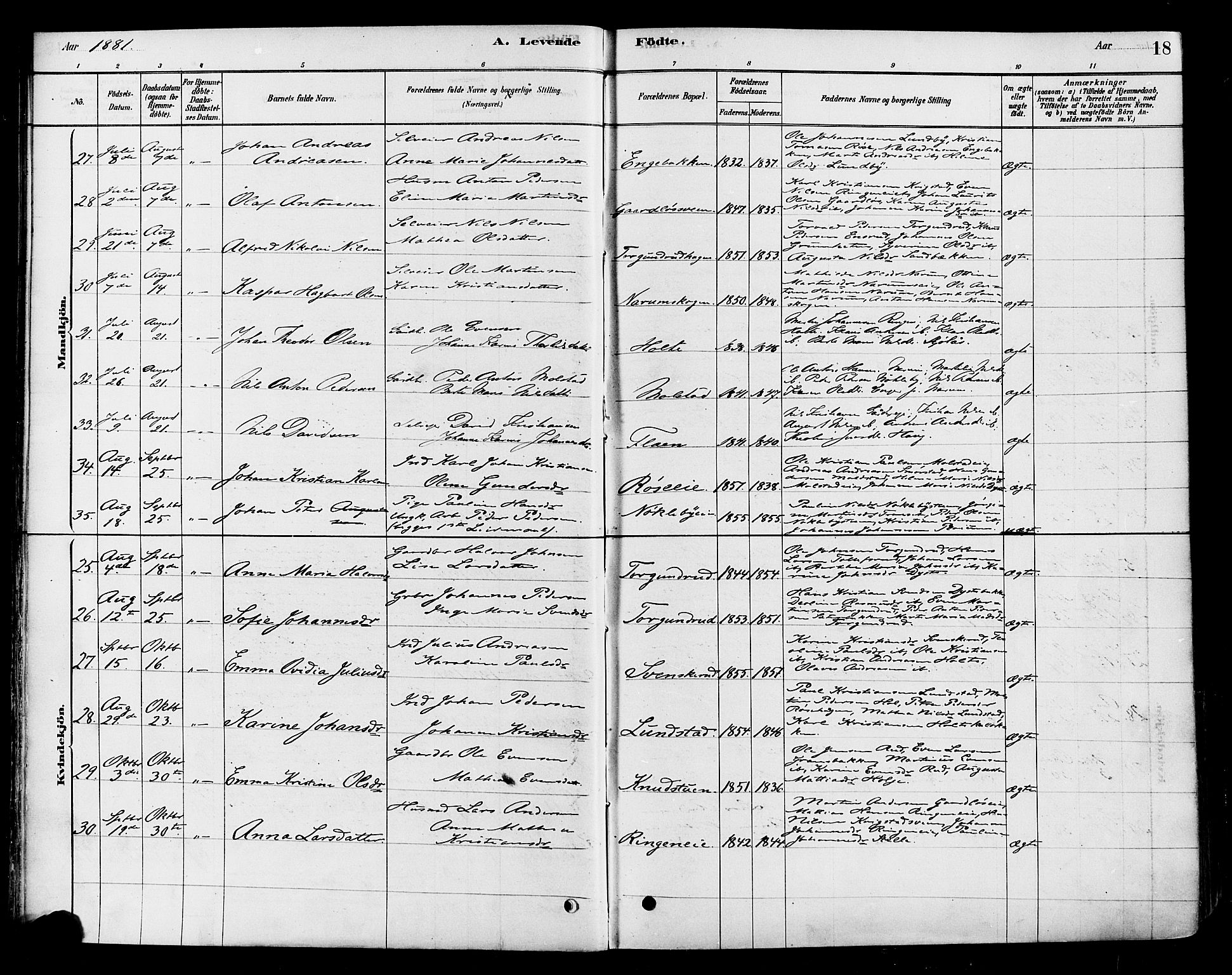 Vestre Toten prestekontor, AV/SAH-PREST-108/H/Ha/Haa/L0010: Parish register (official) no. 10, 1878-1894, p. 18