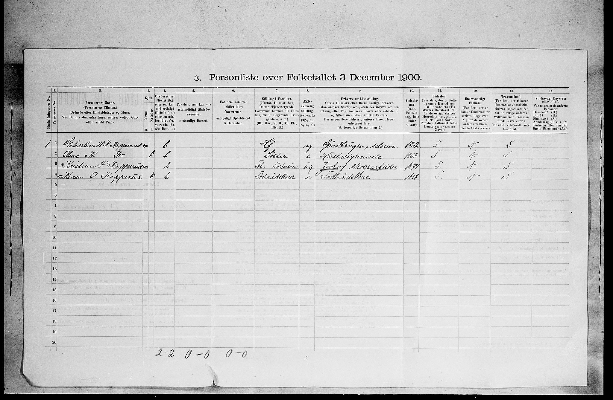 SAH, 1900 census for Våler, 1900, p. 50