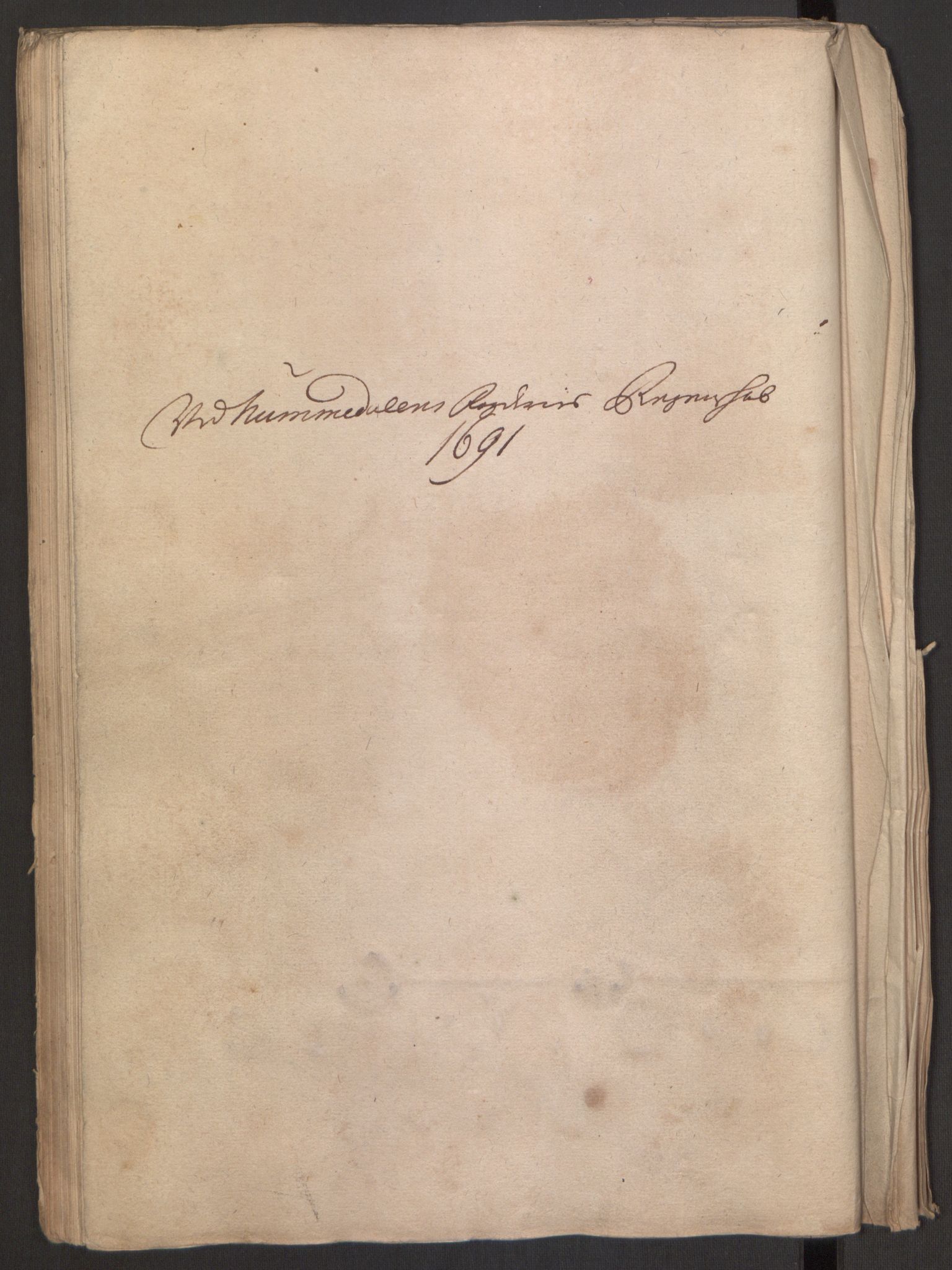Rentekammeret inntil 1814, Reviderte regnskaper, Fogderegnskap, RA/EA-4092/R64/L4423: Fogderegnskap Namdal, 1690-1691, p. 207