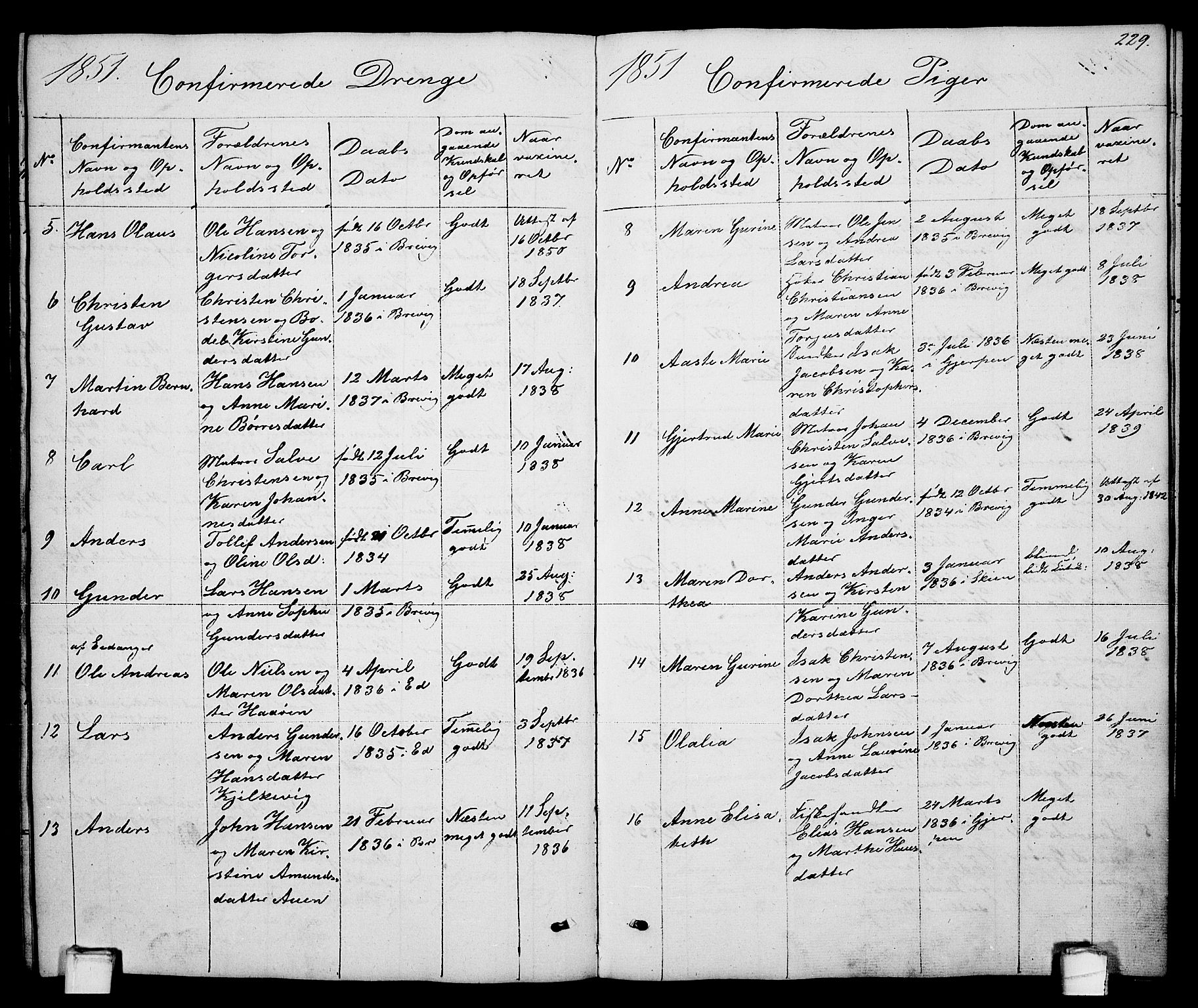 Brevik kirkebøker, SAKO/A-255/G/Ga/L0002: Parish register (copy) no. 2, 1846-1865, p. 229