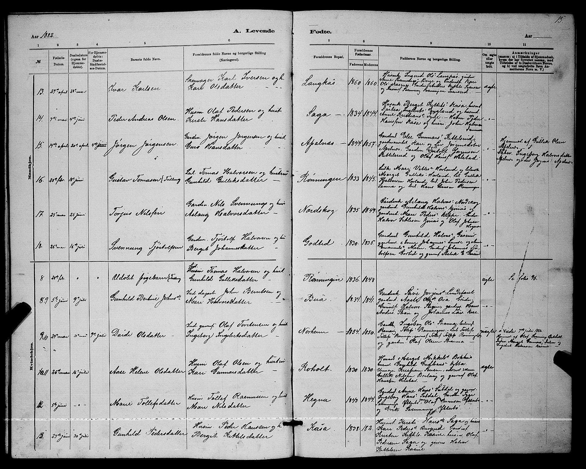 Lunde kirkebøker, AV/SAKO-A-282/G/Ga/L0001b: Parish register (copy) no. I 1, 1879-1887, p. 15