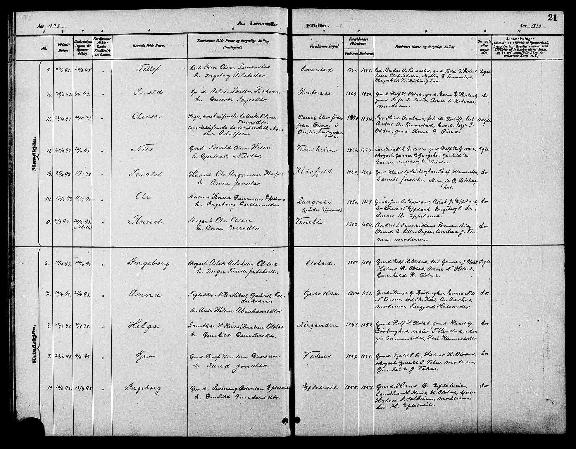 Åmli sokneprestkontor, AV/SAK-1111-0050/F/Fb/Fbc/L0004: Parish register (copy) no. B 4, 1889-1902, p. 21