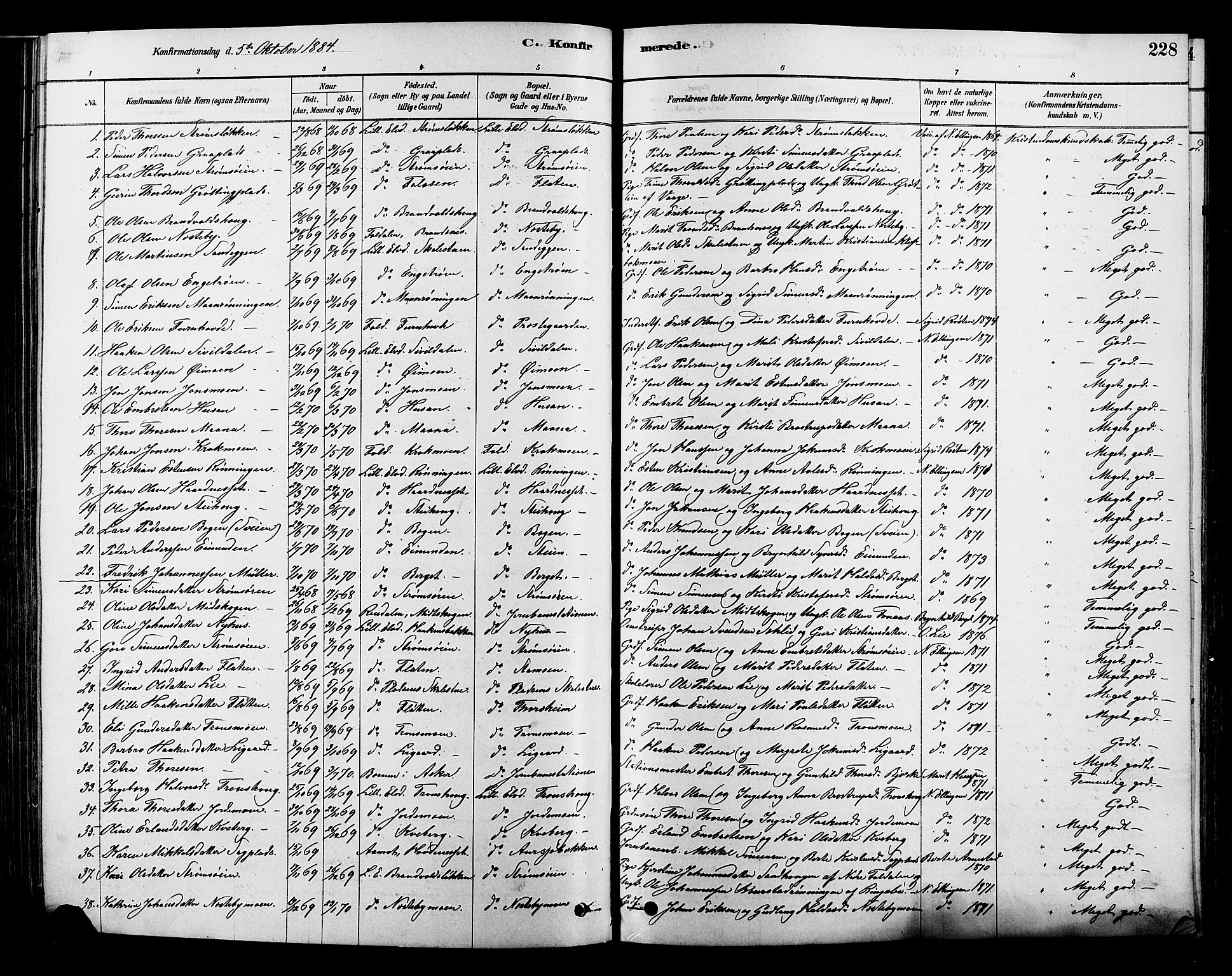 Alvdal prestekontor, AV/SAH-PREST-060/H/Ha/Hab/L0003: Parish register (copy) no. 3, 1878-1907, p. 228