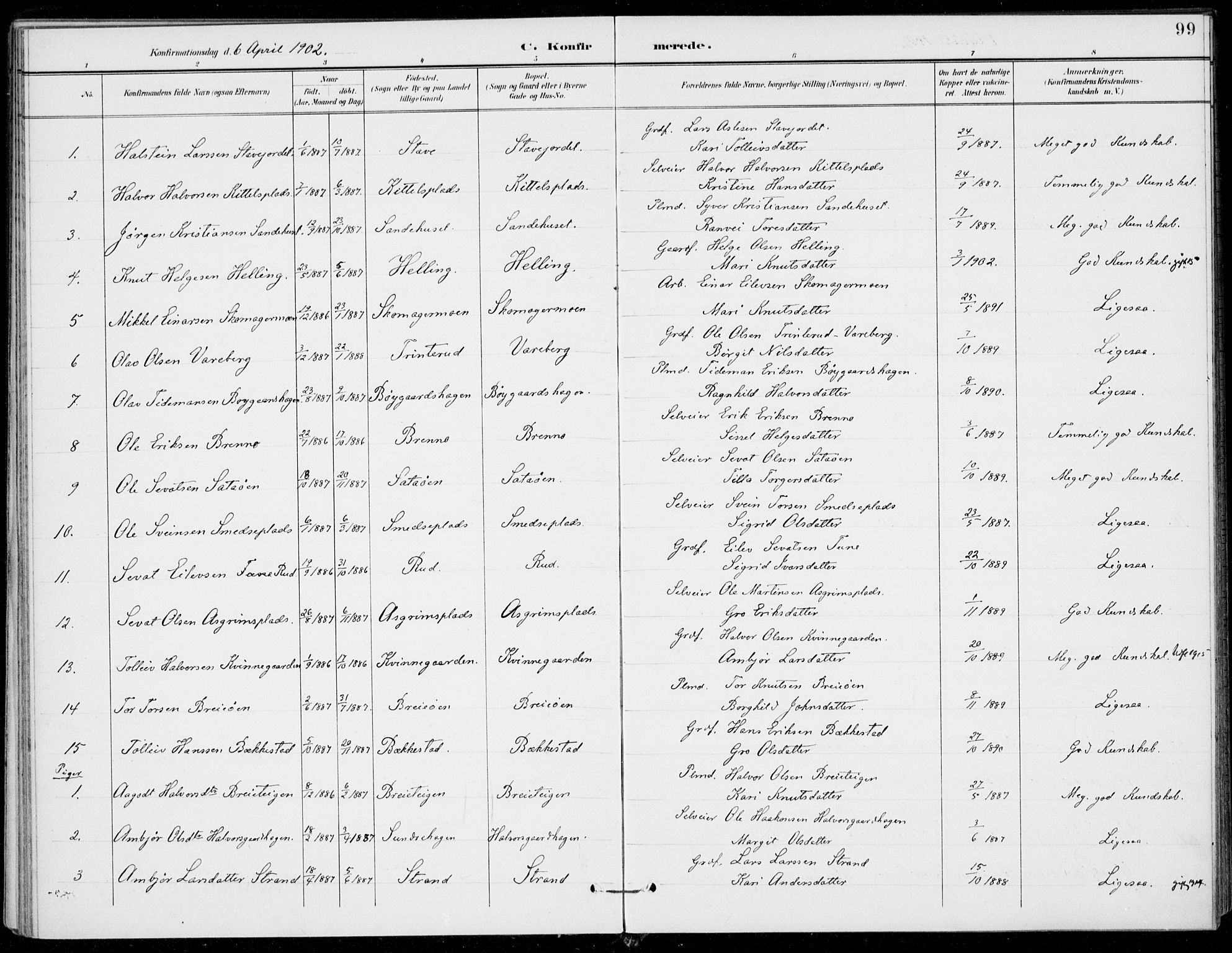 Ål kirkebøker, AV/SAKO-A-249/F/Fa/L0009: Parish register (official) no. I 9, 1897-1915, p. 99