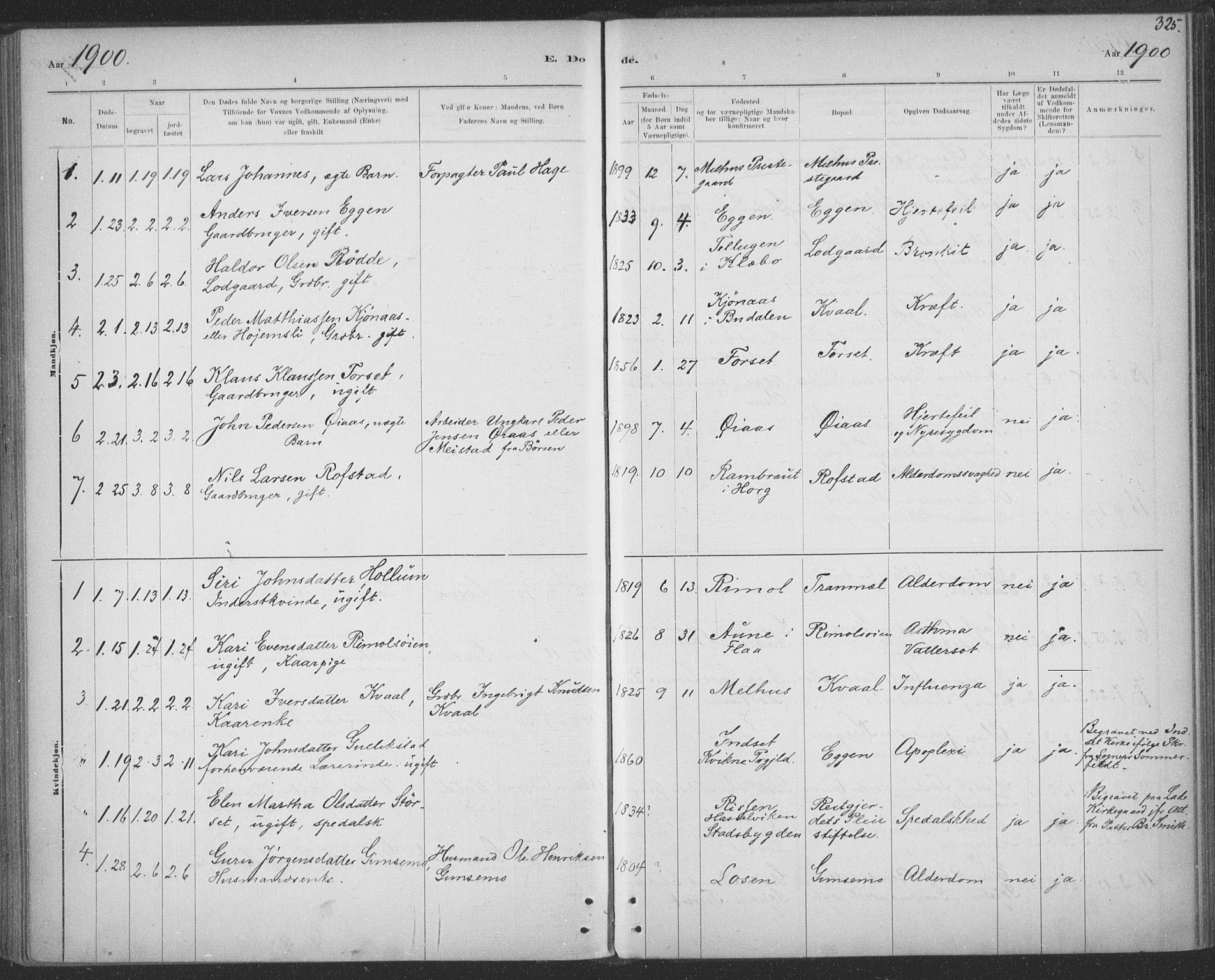 Ministerialprotokoller, klokkerbøker og fødselsregistre - Sør-Trøndelag, AV/SAT-A-1456/691/L1085: Parish register (official) no. 691A17, 1887-1908, p. 325