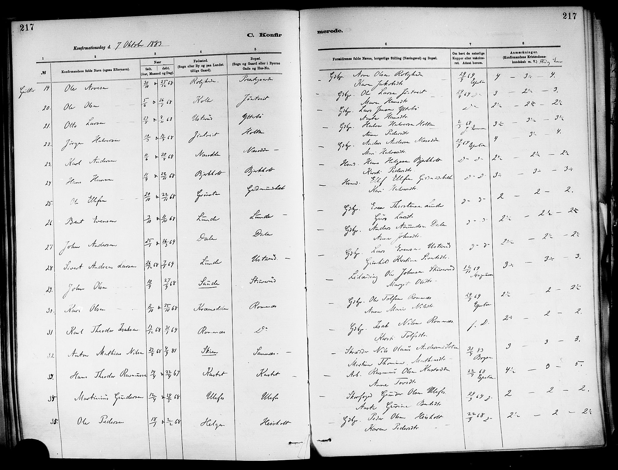 Holla kirkebøker, SAKO/A-272/F/Fa/L0008: Parish register (official) no. 8, 1882-1897, p. 217