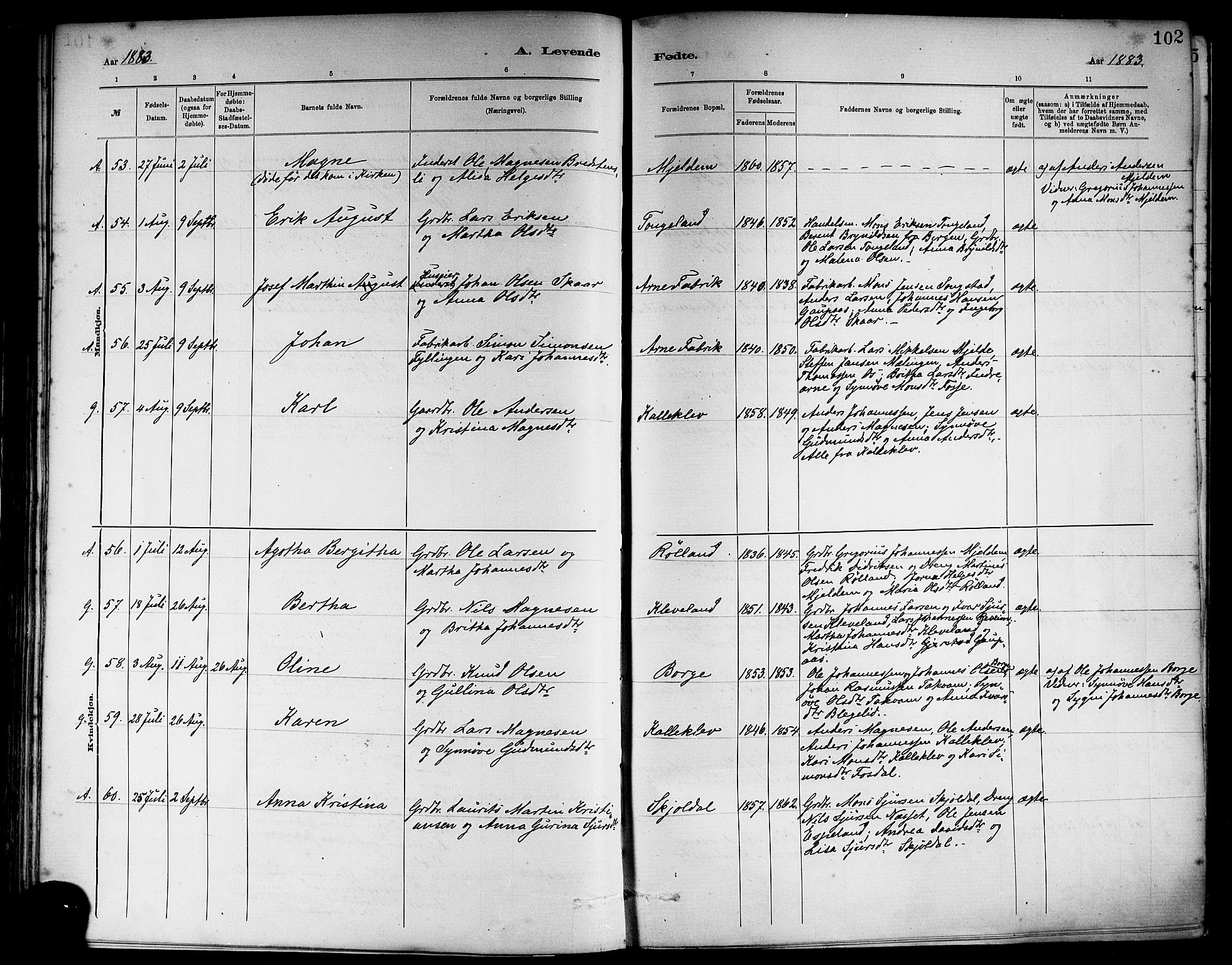 Haus sokneprestembete, SAB/A-75601/H/Haa: Parish register (official) no. A 19I, 1878-1886, p. 102