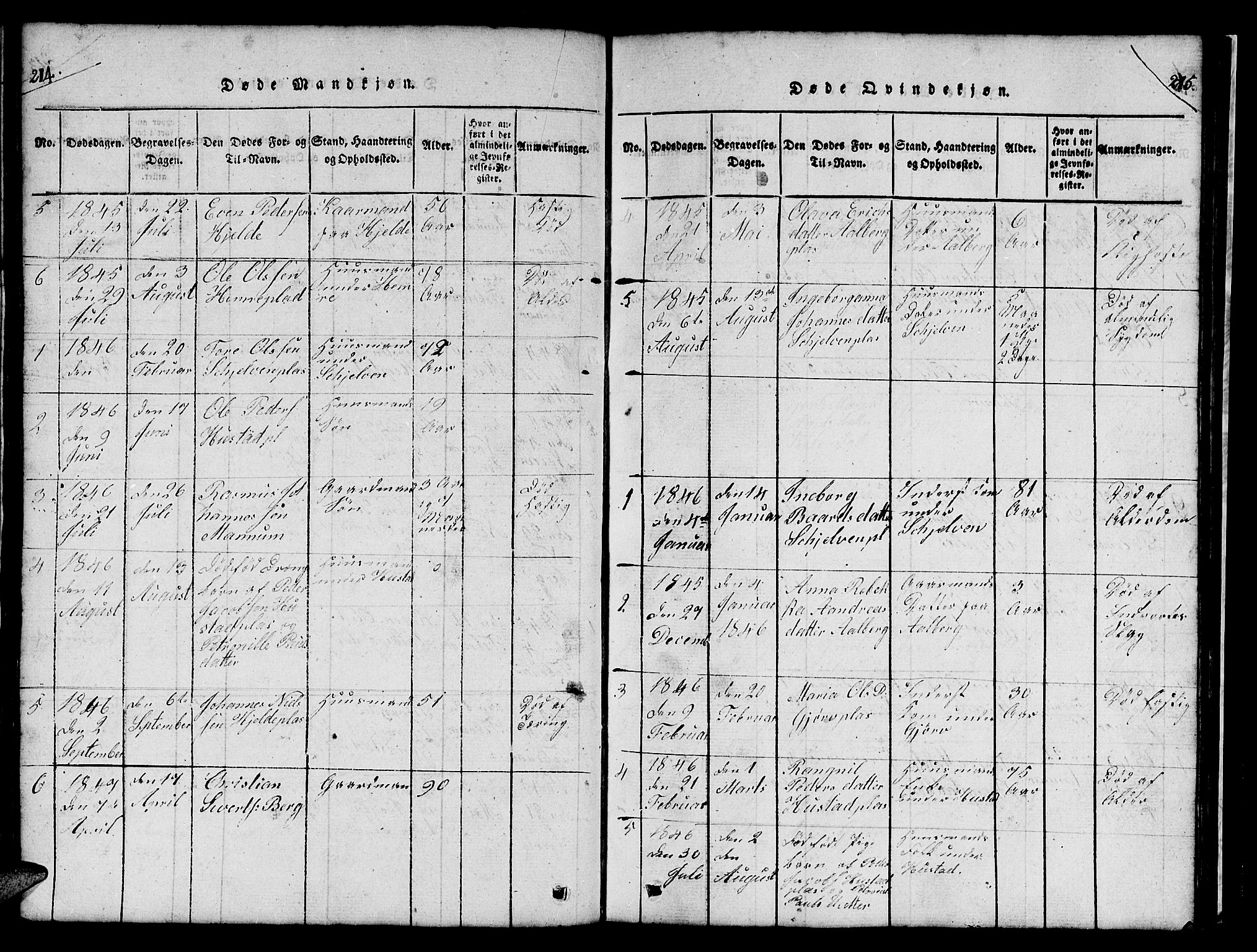 Ministerialprotokoller, klokkerbøker og fødselsregistre - Nord-Trøndelag, SAT/A-1458/732/L0317: Parish register (copy) no. 732C01, 1816-1881, p. 214-215