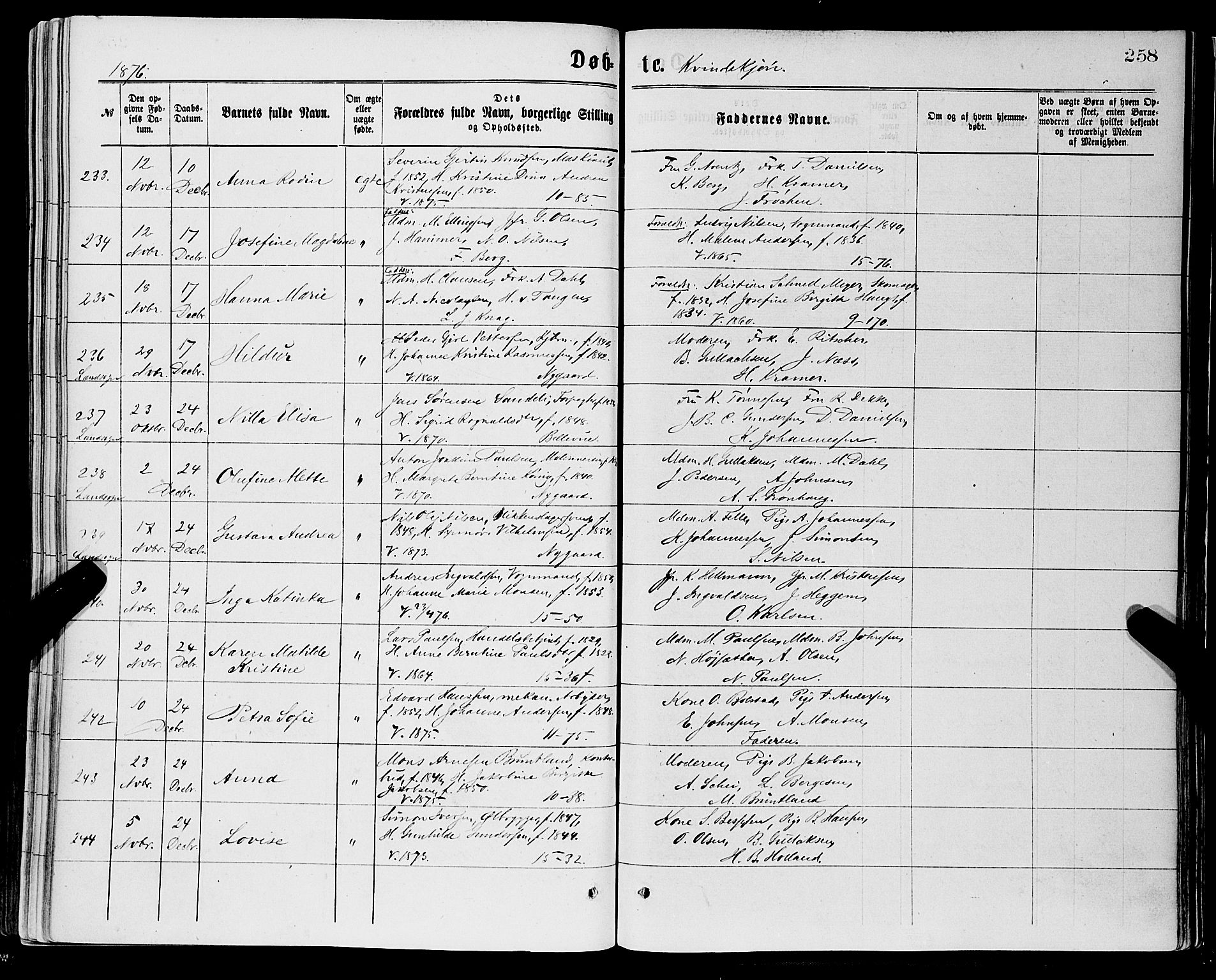 Domkirken sokneprestembete, AV/SAB-A-74801/H/Haa/L0022: Parish register (official) no. B 5, 1872-1878, p. 258