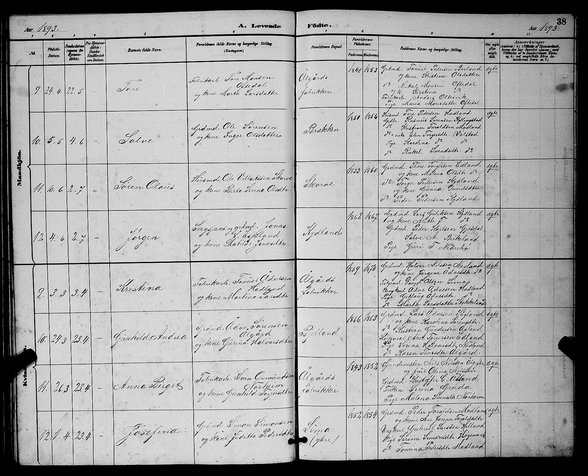 Lye sokneprestkontor, AV/SAST-A-101794/001/30BB/L0008: Parish register (copy) no. B 7, 1887-1901, p. 38