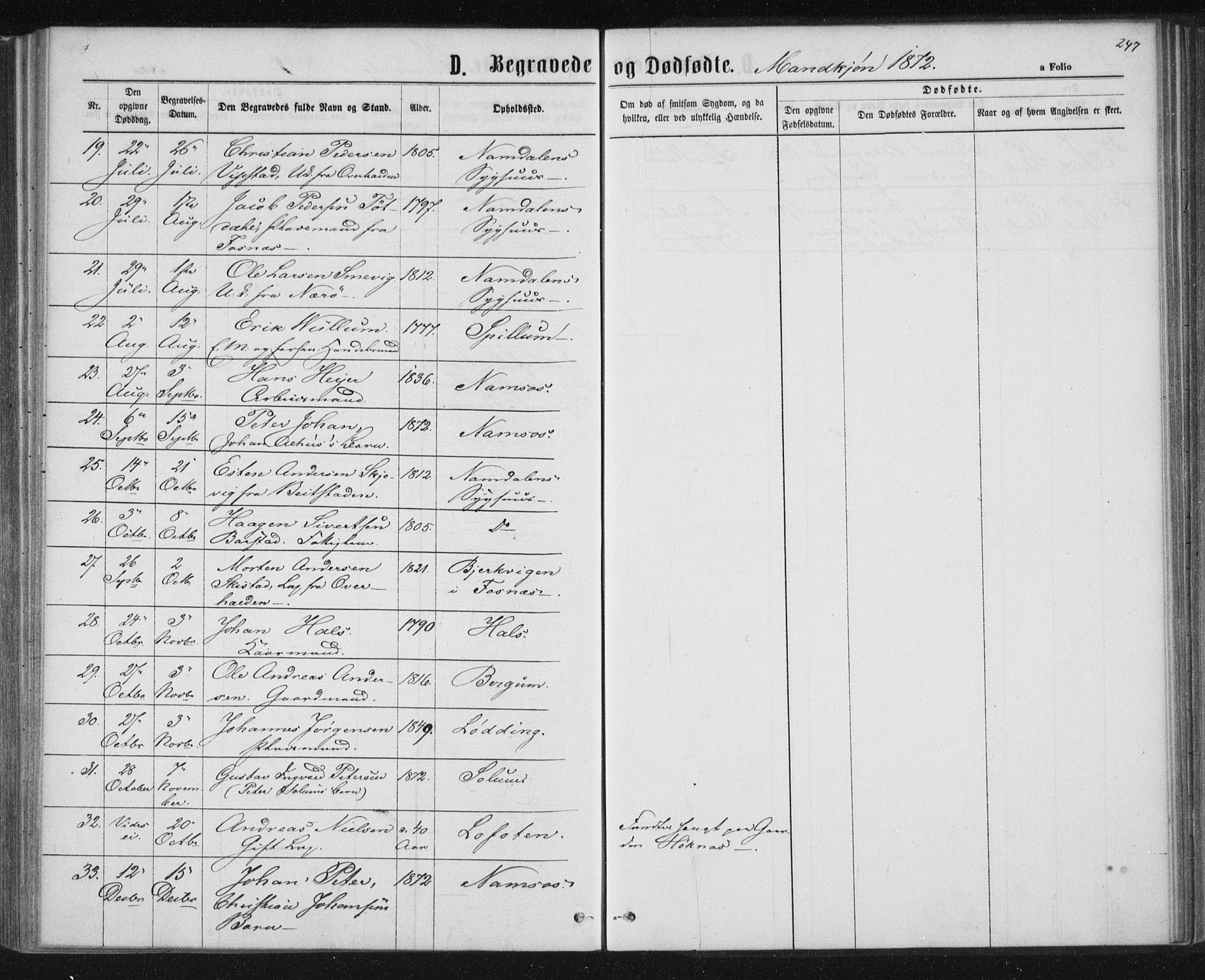 Ministerialprotokoller, klokkerbøker og fødselsregistre - Nord-Trøndelag, SAT/A-1458/768/L0570: Parish register (official) no. 768A05, 1865-1874, p. 247