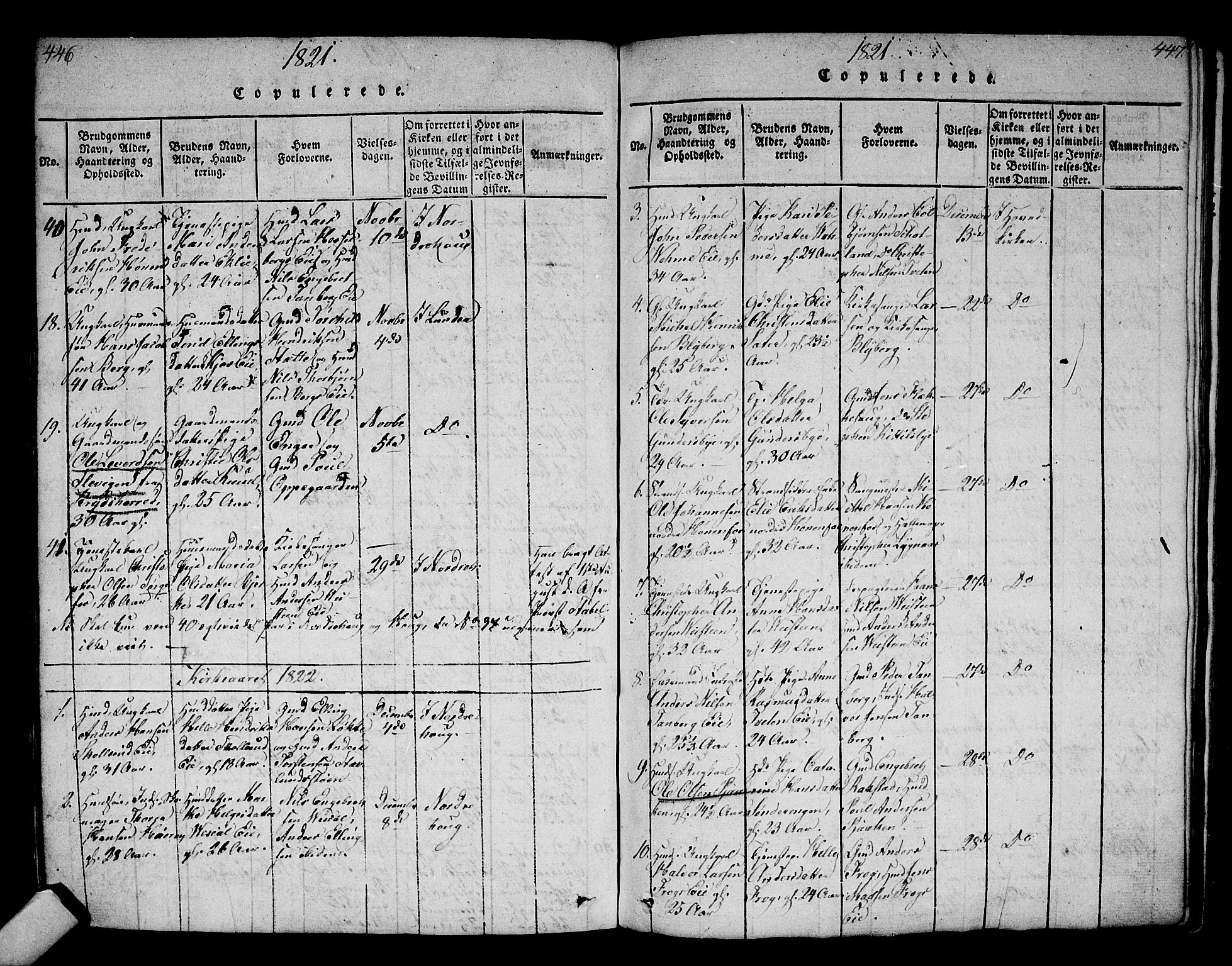 Norderhov kirkebøker, AV/SAKO-A-237/F/Fa/L0008: Parish register (official) no. 8, 1814-1833, p. 446-447