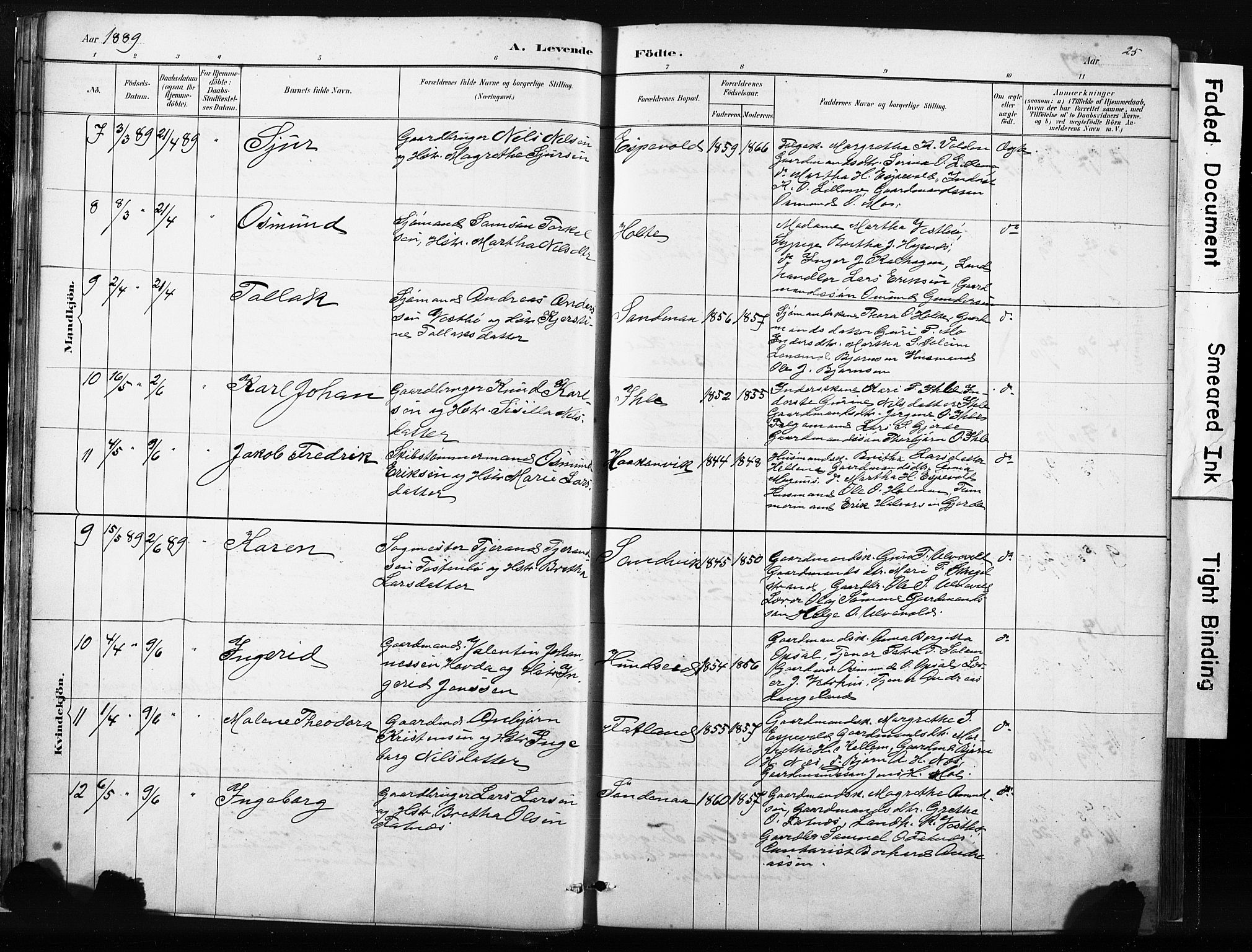 Vikedal sokneprestkontor, AV/SAST-A-101840/01/IV: Parish register (official) no. A 10, 1884-1907, p. 25