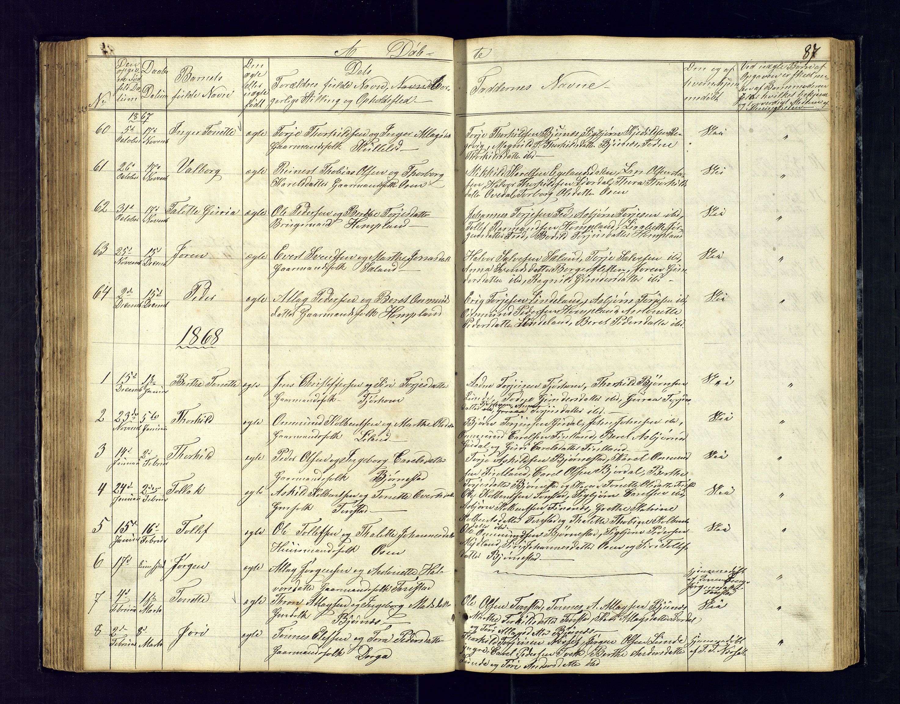 Sirdal sokneprestkontor, SAK/1111-0036/F/Fb/Fbb/L0002: Parish register (copy) no. B-2, 1848-1878, p. 87