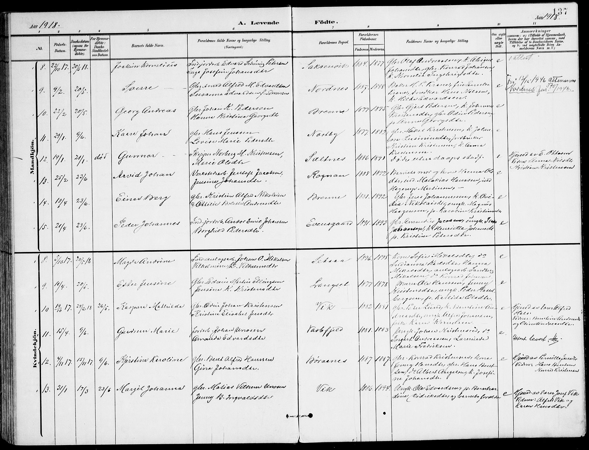 Ministerialprotokoller, klokkerbøker og fødselsregistre - Nordland, AV/SAT-A-1459/847/L0672: Parish register (official) no. 847A12, 1902-1919, p. 137