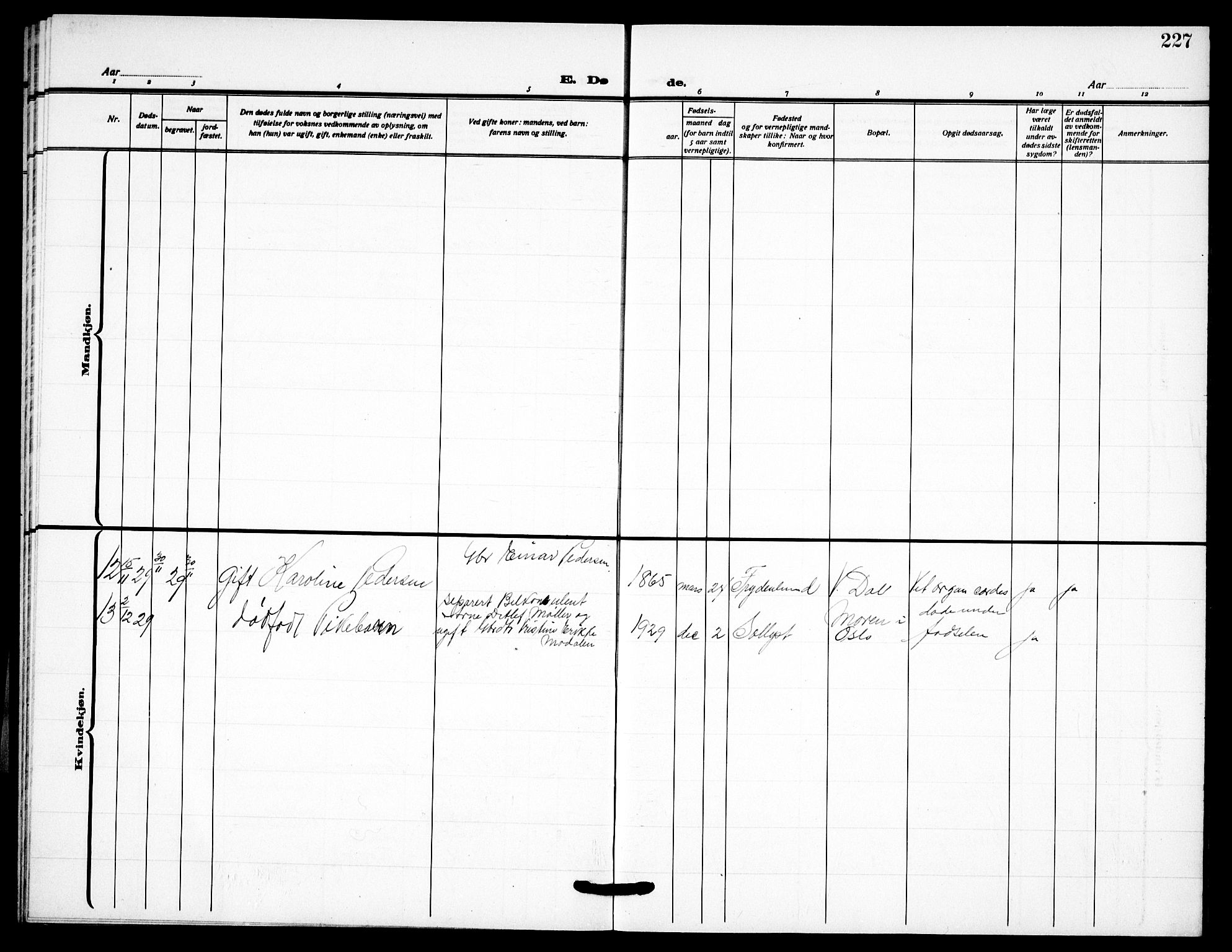 Drøbak prestekontor Kirkebøker, AV/SAO-A-10142a/G/Gb/L0002: Parish register (copy) no. II 2, 1919-1939, p. 227