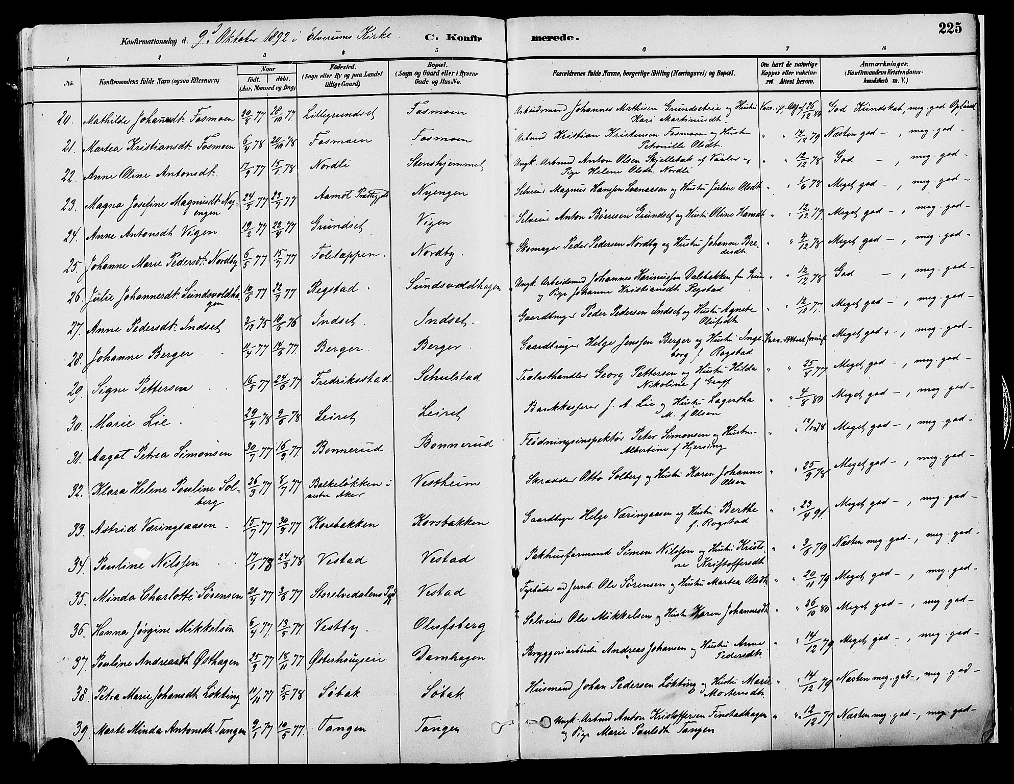 Elverum prestekontor, AV/SAH-PREST-044/H/Ha/Haa/L0013: Parish register (official) no. 13, 1880-1890, p. 225